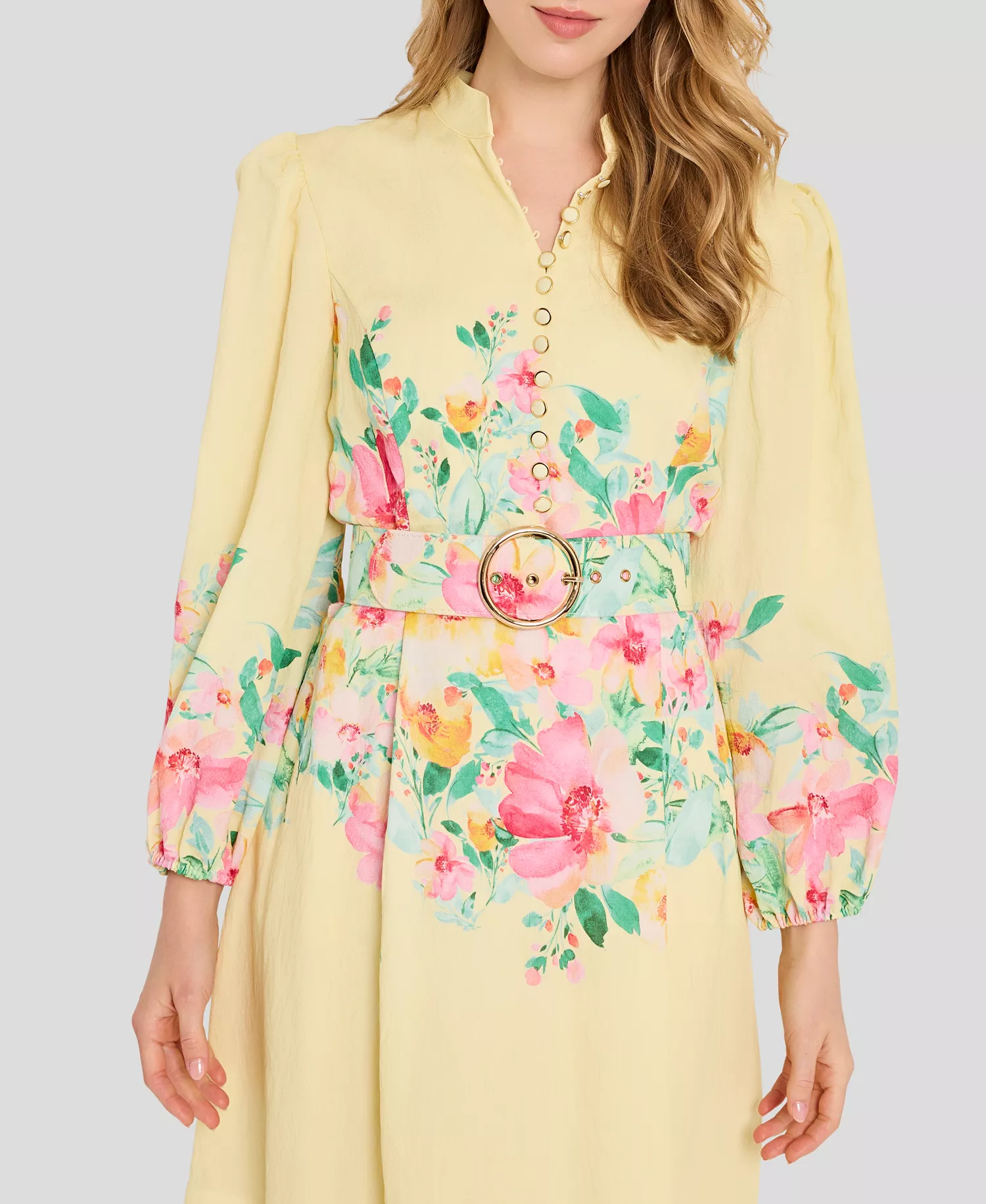 Petite Button-Front Placement Mock neck Print Dress - Buttercup Multi - 0P