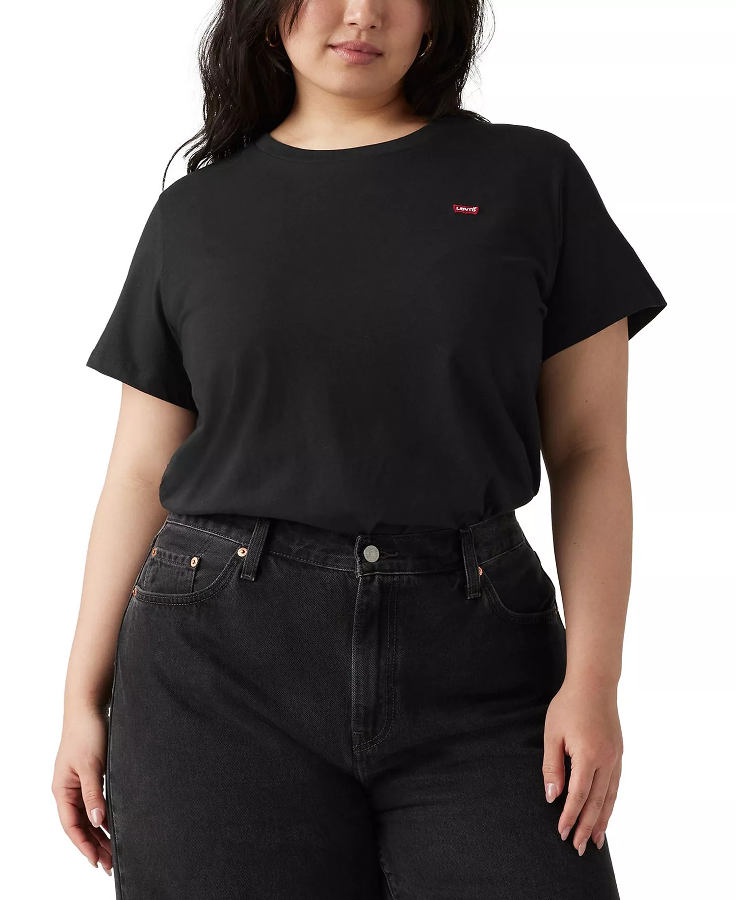 Plus Size Cotton Perfect T-Shirt - Mineral Black - 1X