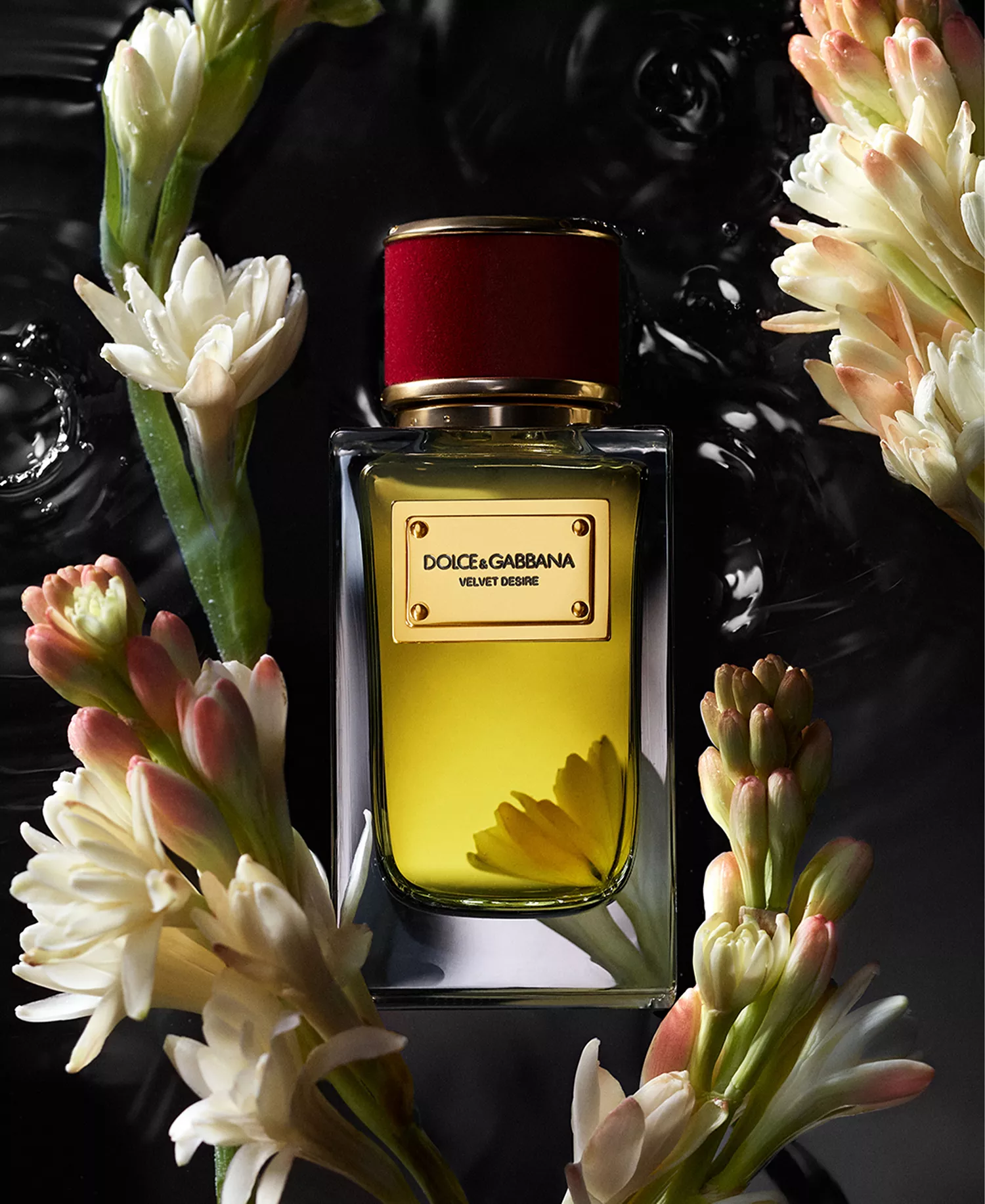 3-Pc. Velvet Collection Eau De Parfum Set - No Color - 0.33 oz