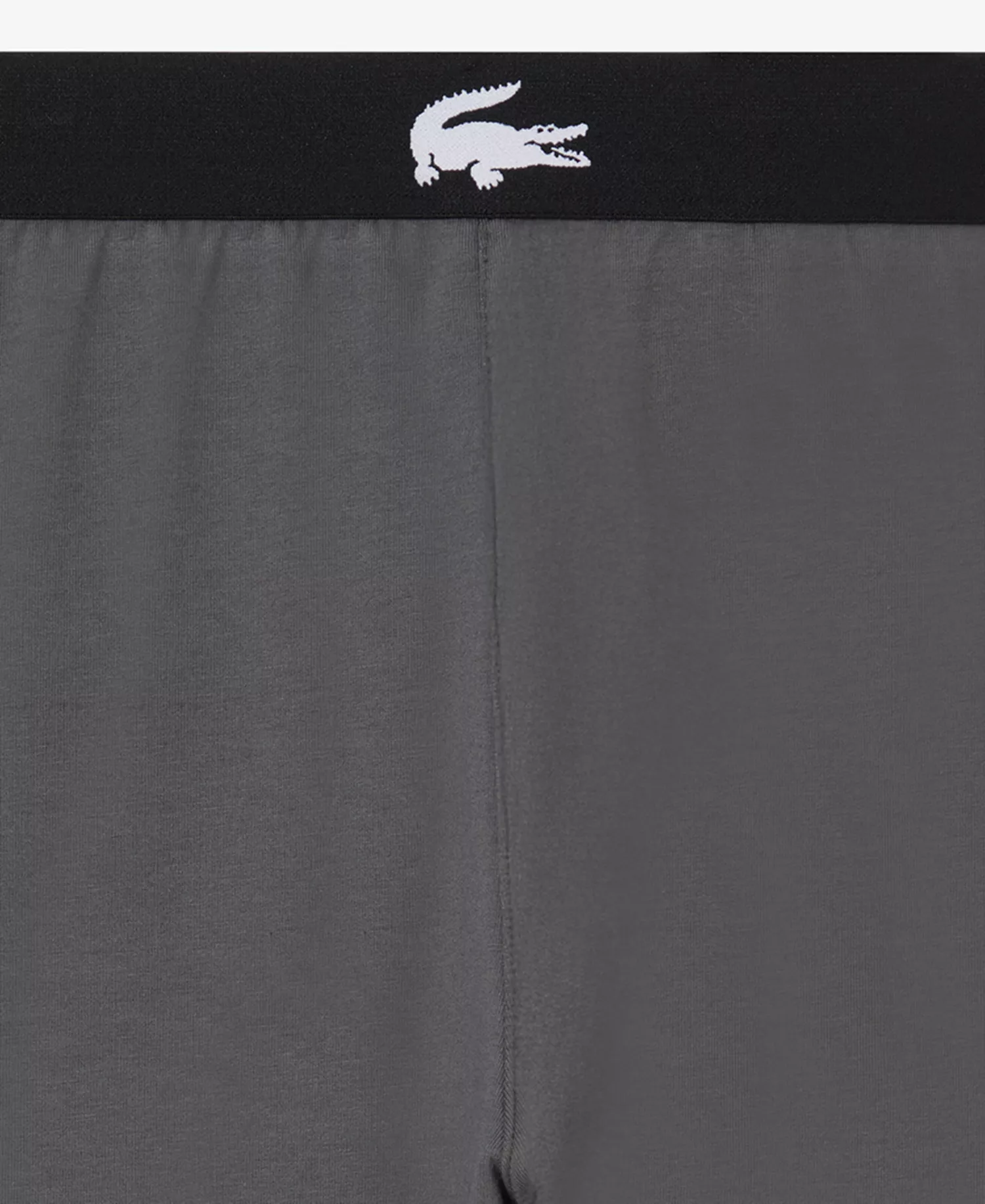 Men's Loungewear Logo Pajama Pants - Flagstone - L