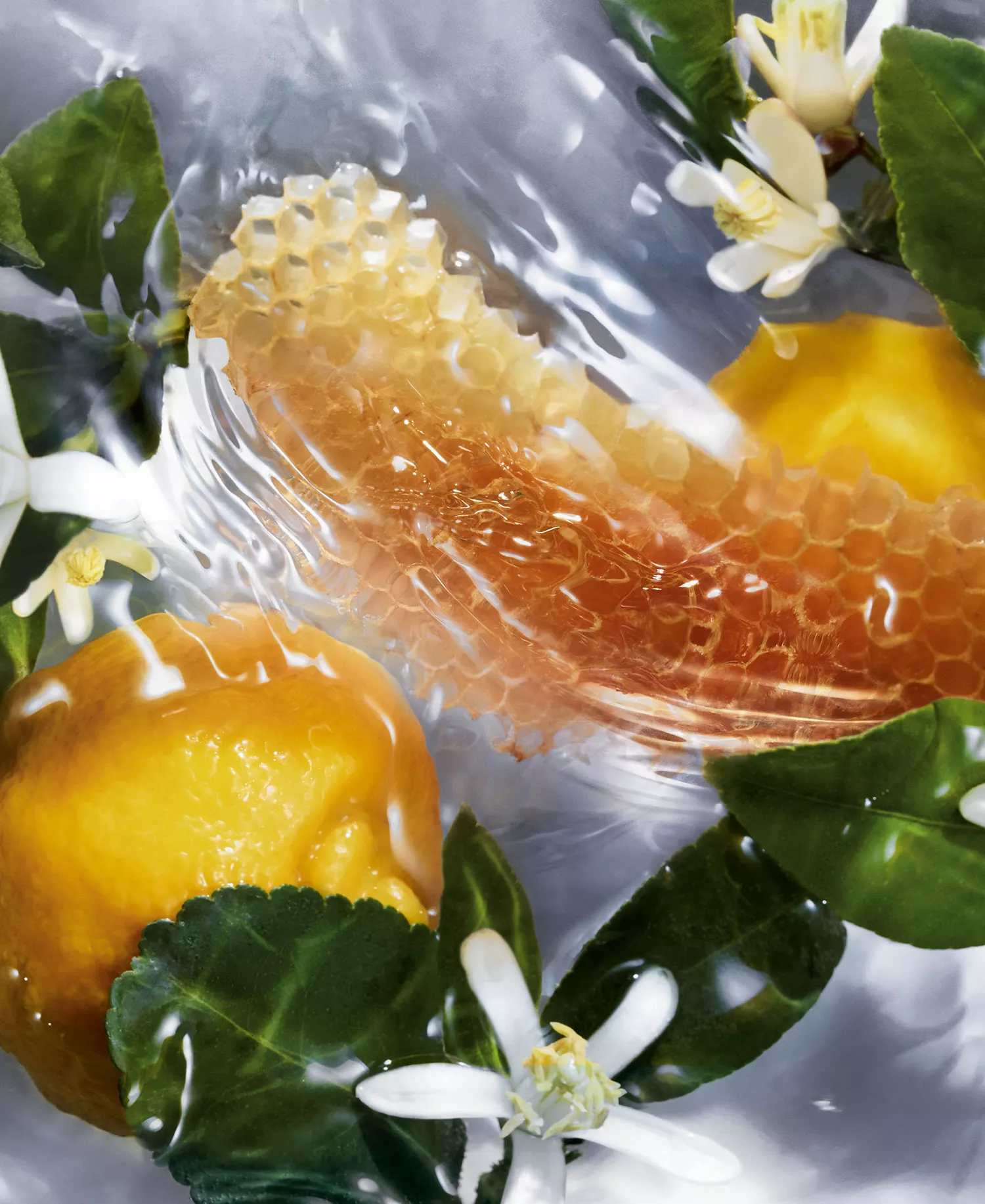 Aqua Allegoria Orange Soleia Eau de Toilette Refill, 6.7 oz. - No Color - Refill