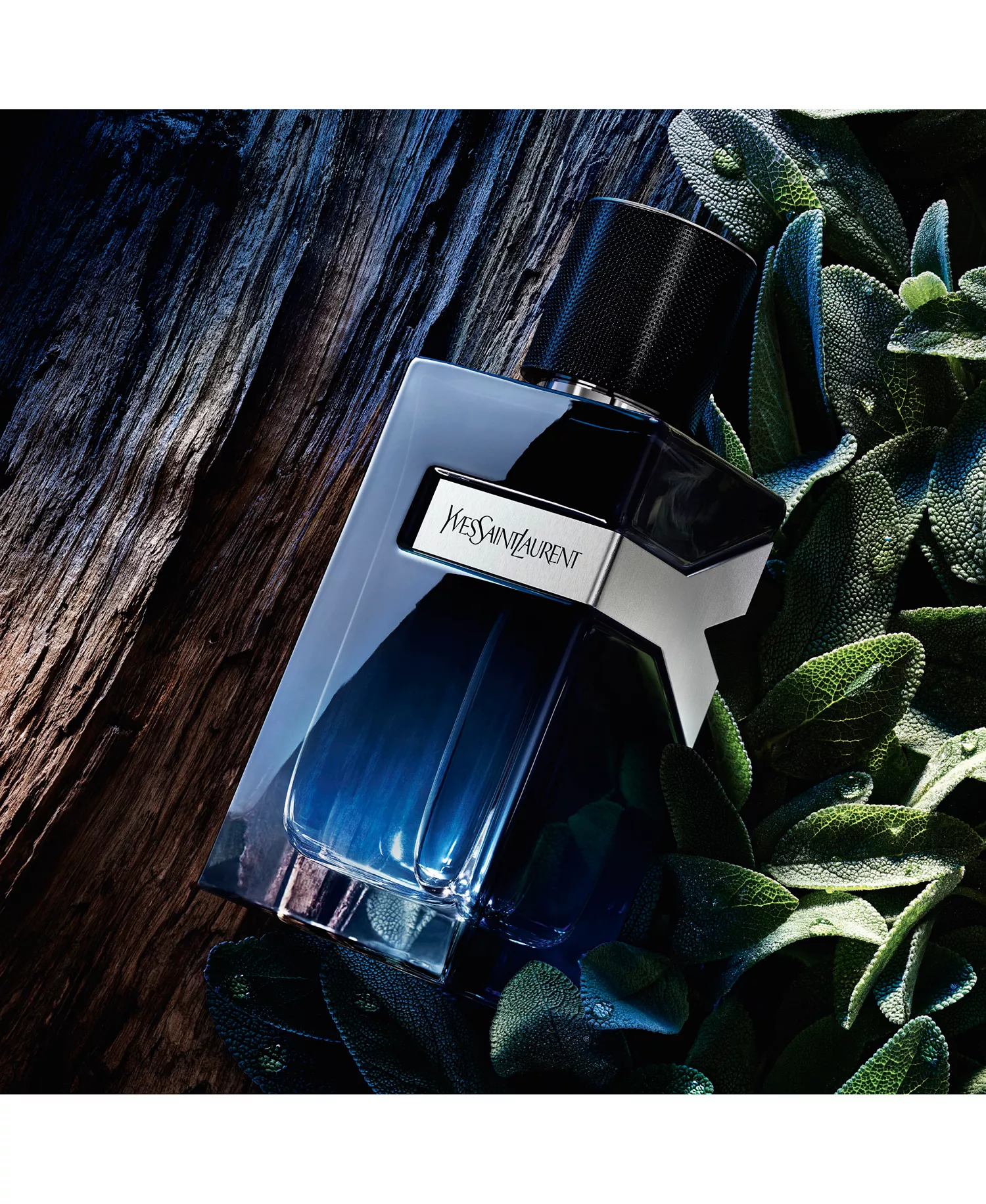 Y 2 pc. Eau de Parfum Mini Cologne and Travel Spray Gift Set - No Color - No Size