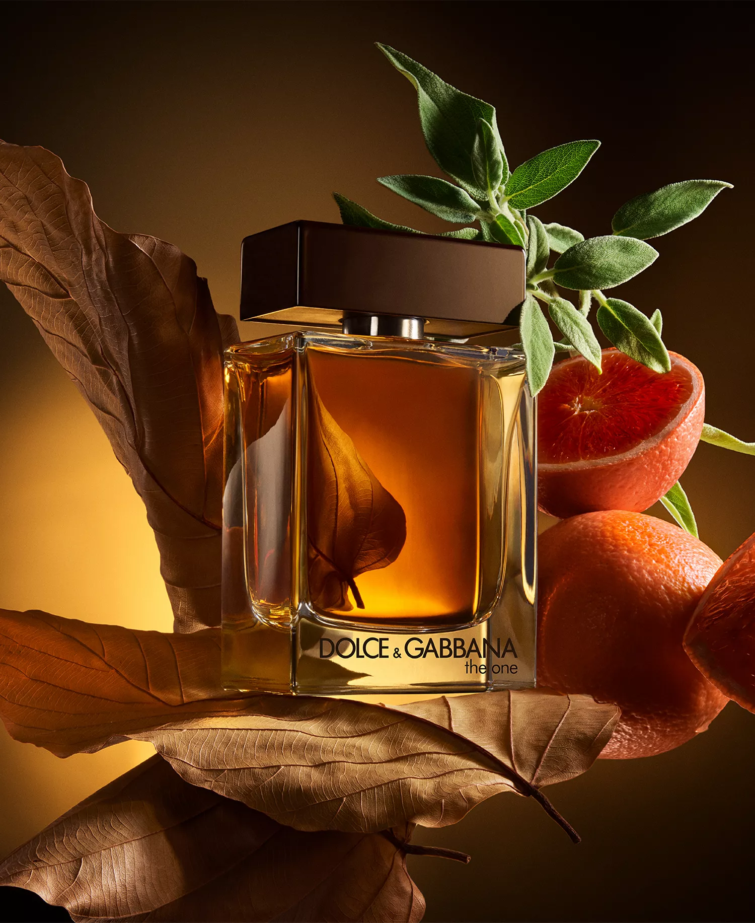 The One For Men 3-Pc. Eau de Parfum Gift Set - No Color - No Size