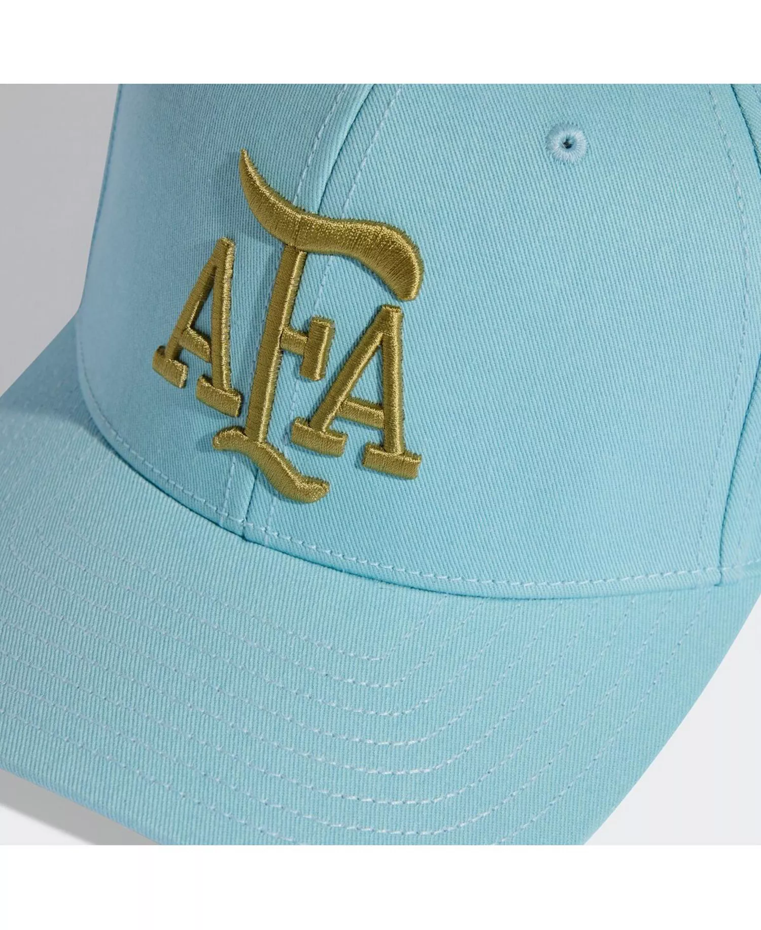 Men's and Women's Light Blue Argentina National Team FIFA x World Cup Team Snapback Hat - Light Blue - ONE SIZE