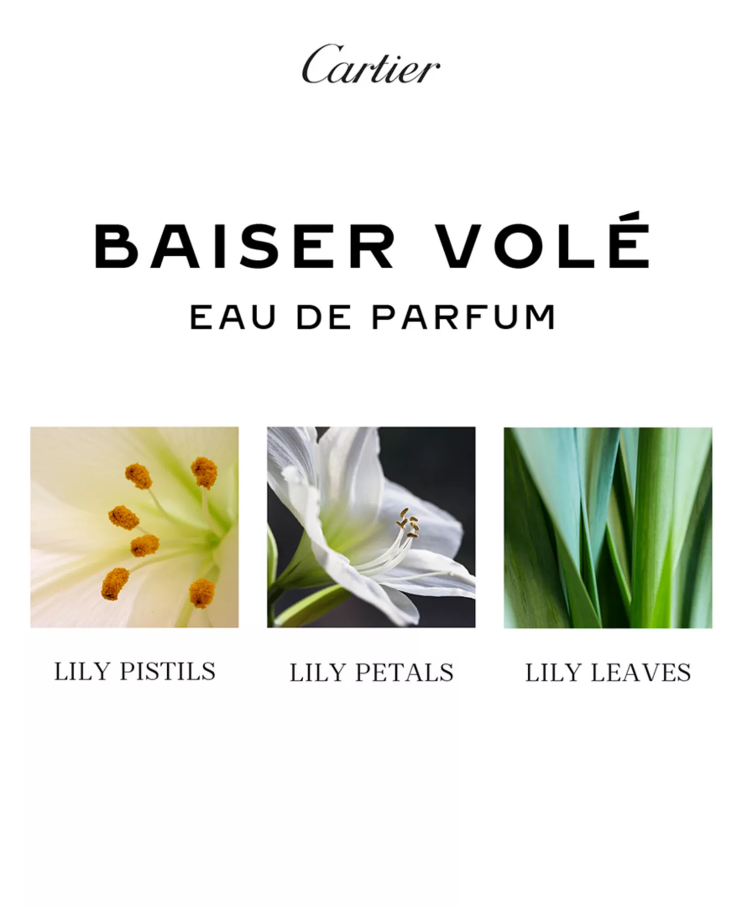 Baiser Volé Eau de Parfum, 3.3 oz  - No Color - 1.60 oz