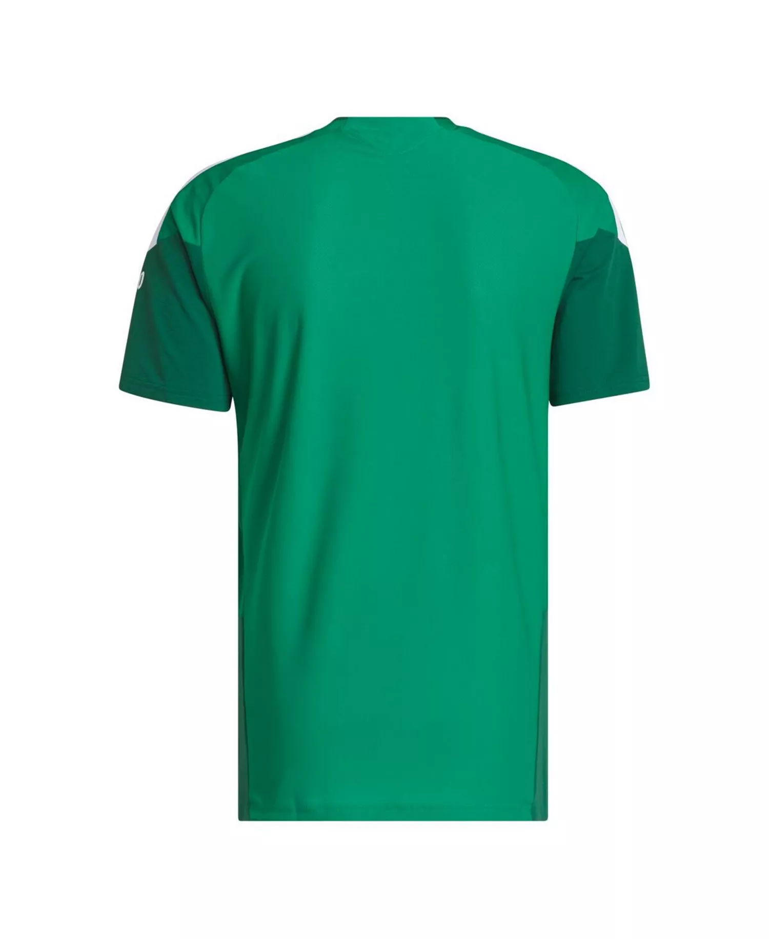 Men's Green Mexico National Team FIFA x World Cup 2026 Tiro Pro Training Jersey - Green - 2XL