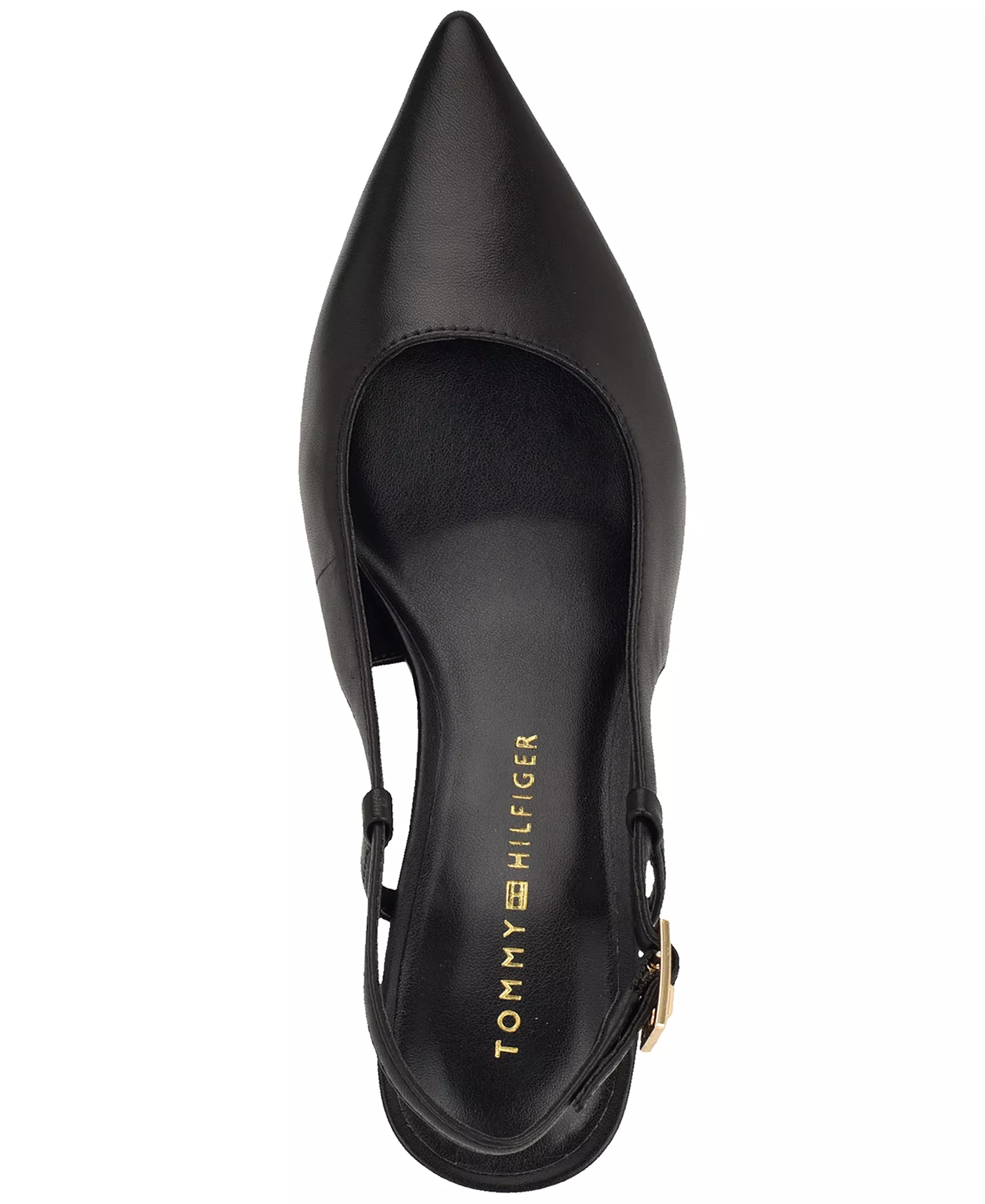 Women's Cerizza Pointed Toe Slingback Pumps - Black Leather - 10M
