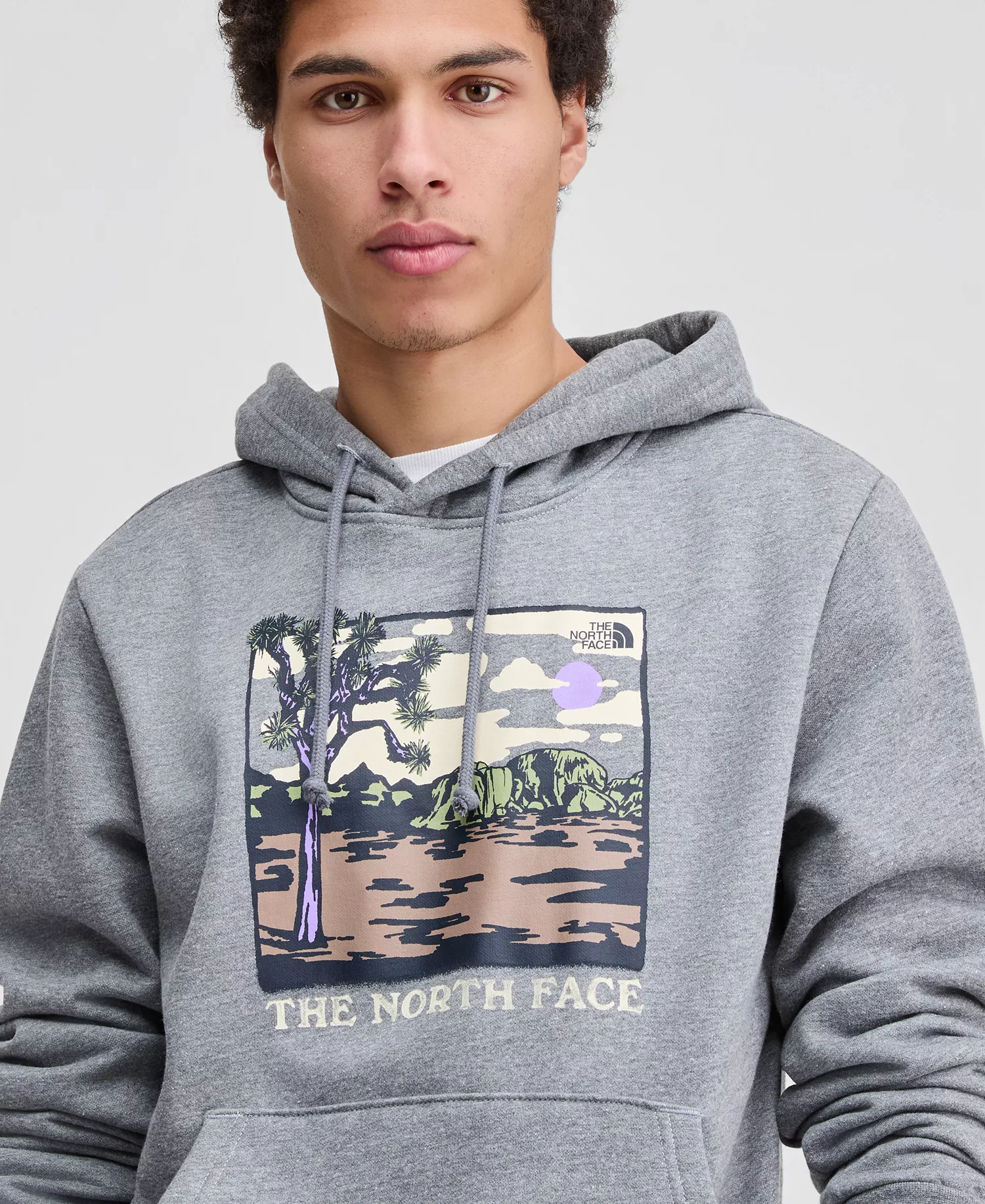 Men's Evolution Desert Graphic Hoodie - Gray - 2XL