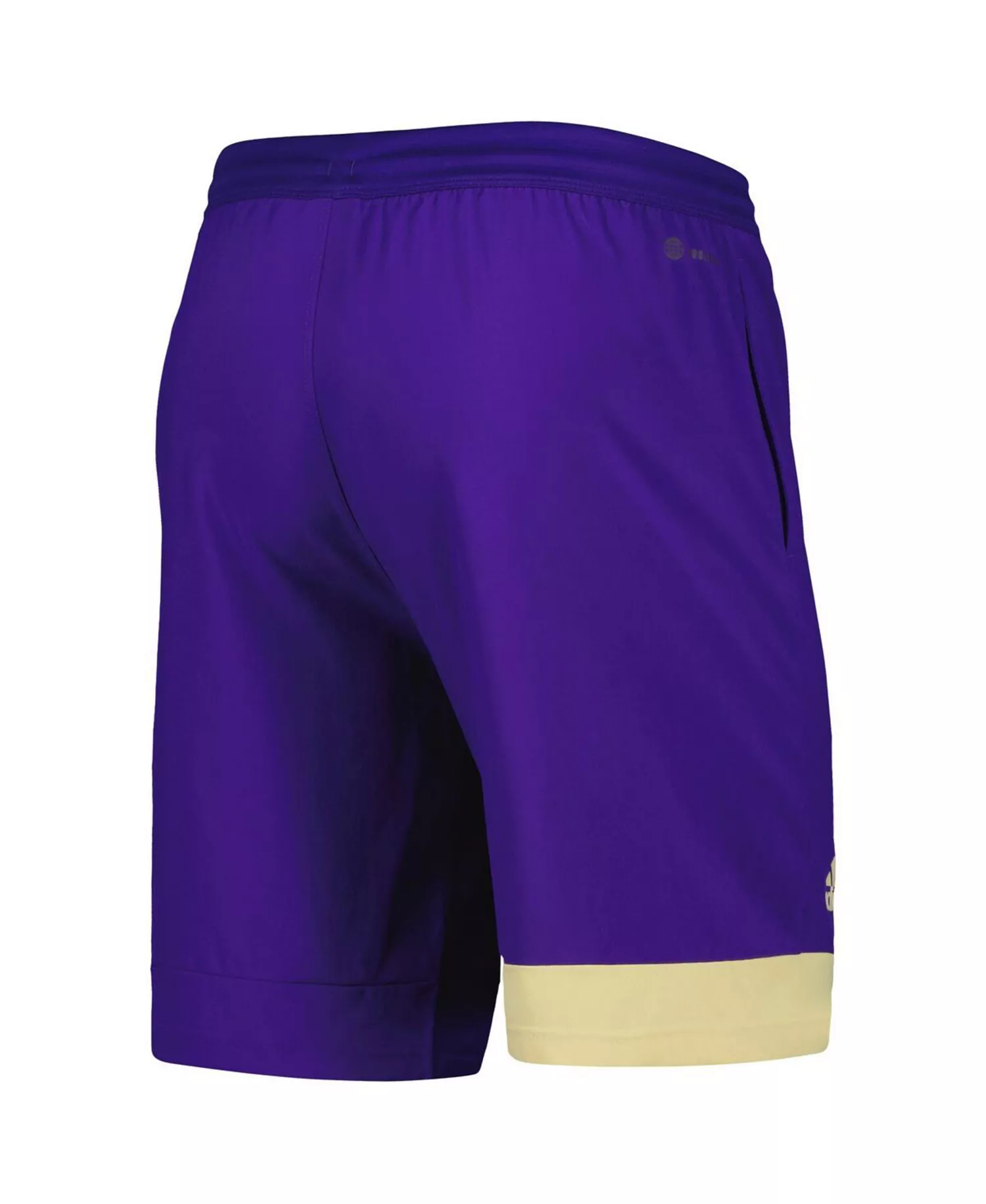 Men's Purple Washington Huskies Training Shorts - Purple - L