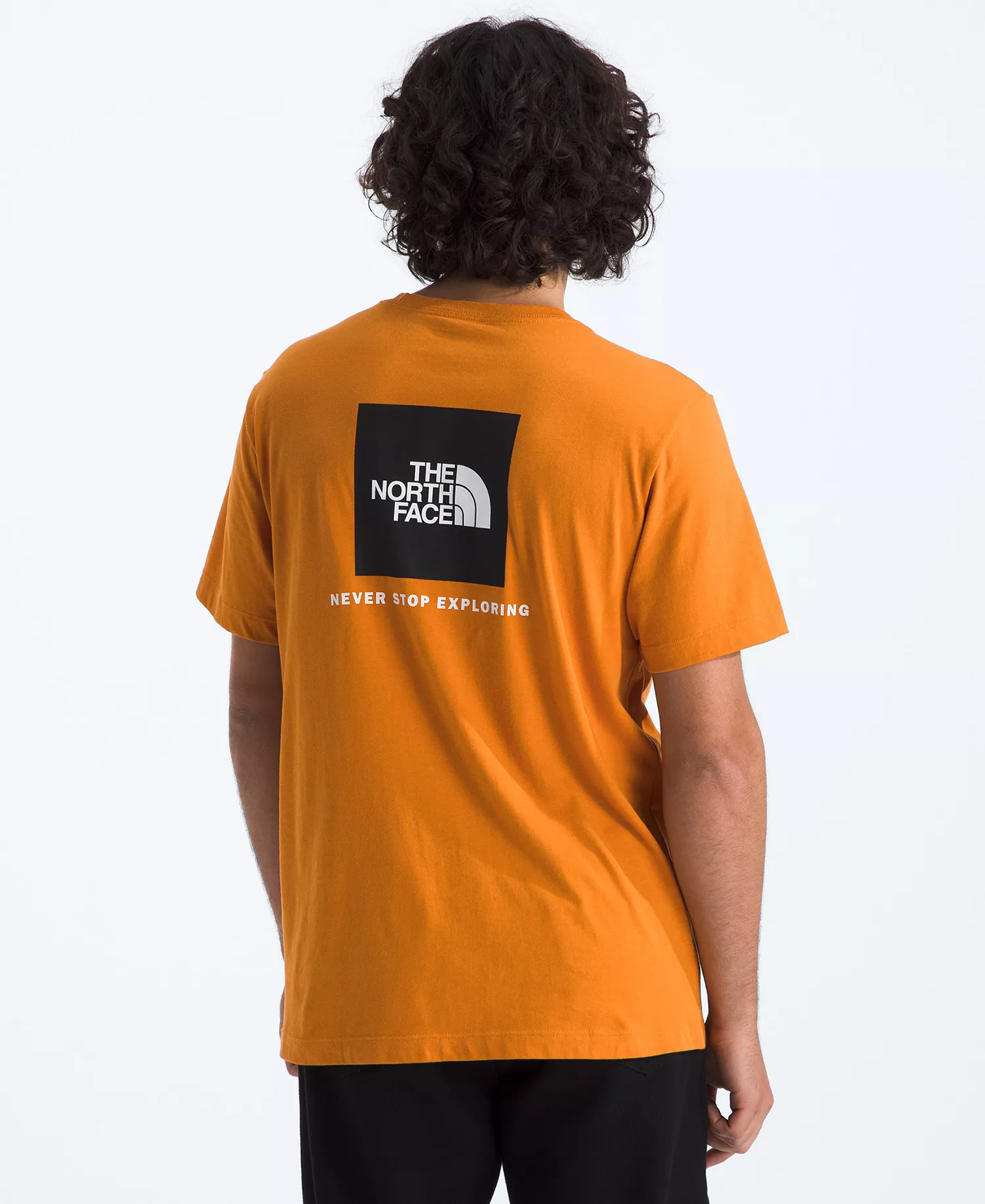 Men's Evolution Box NSE Short-Sleeve T-Shirt - Dust Orange - 2XL