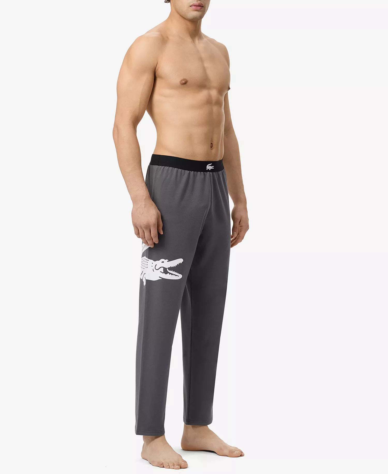 Men's Loungewear Logo Pajama Pants - Flagstone - L