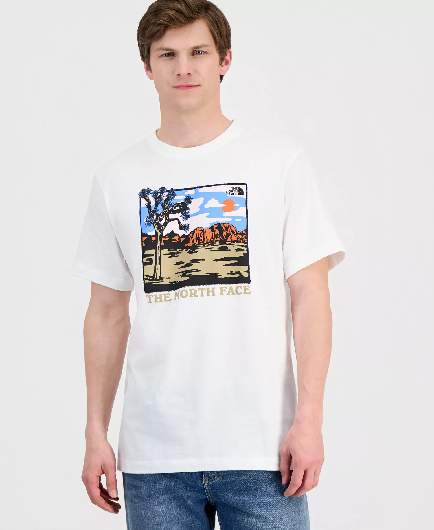 Mens Evolution Desert Graphic Short Sleeve T-Shirt - TNF White - 2XL