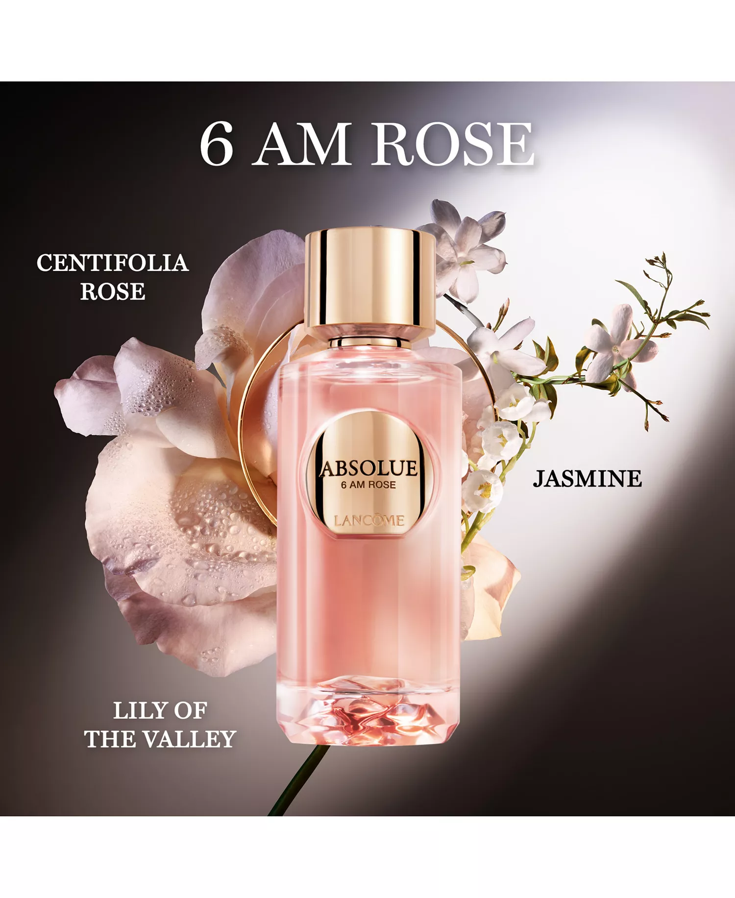 11-Pc. Absolue Les Parfums Limited-Edition Discovery Gift Set - No Color - No Size