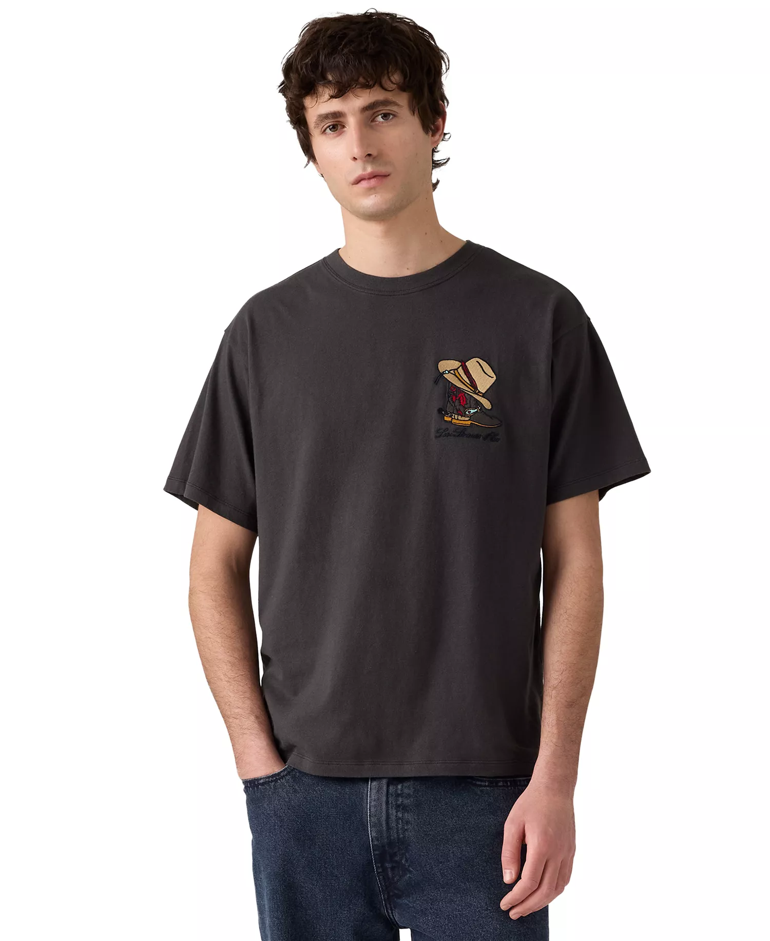 Men's Graphic Vintage Relaxed-Fit T-Shirt - Bison - 2XL