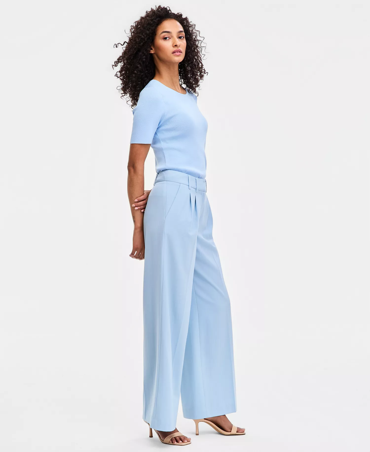 Petite Pleat Front Wide-Leg Pants - Ice Blue - 10P