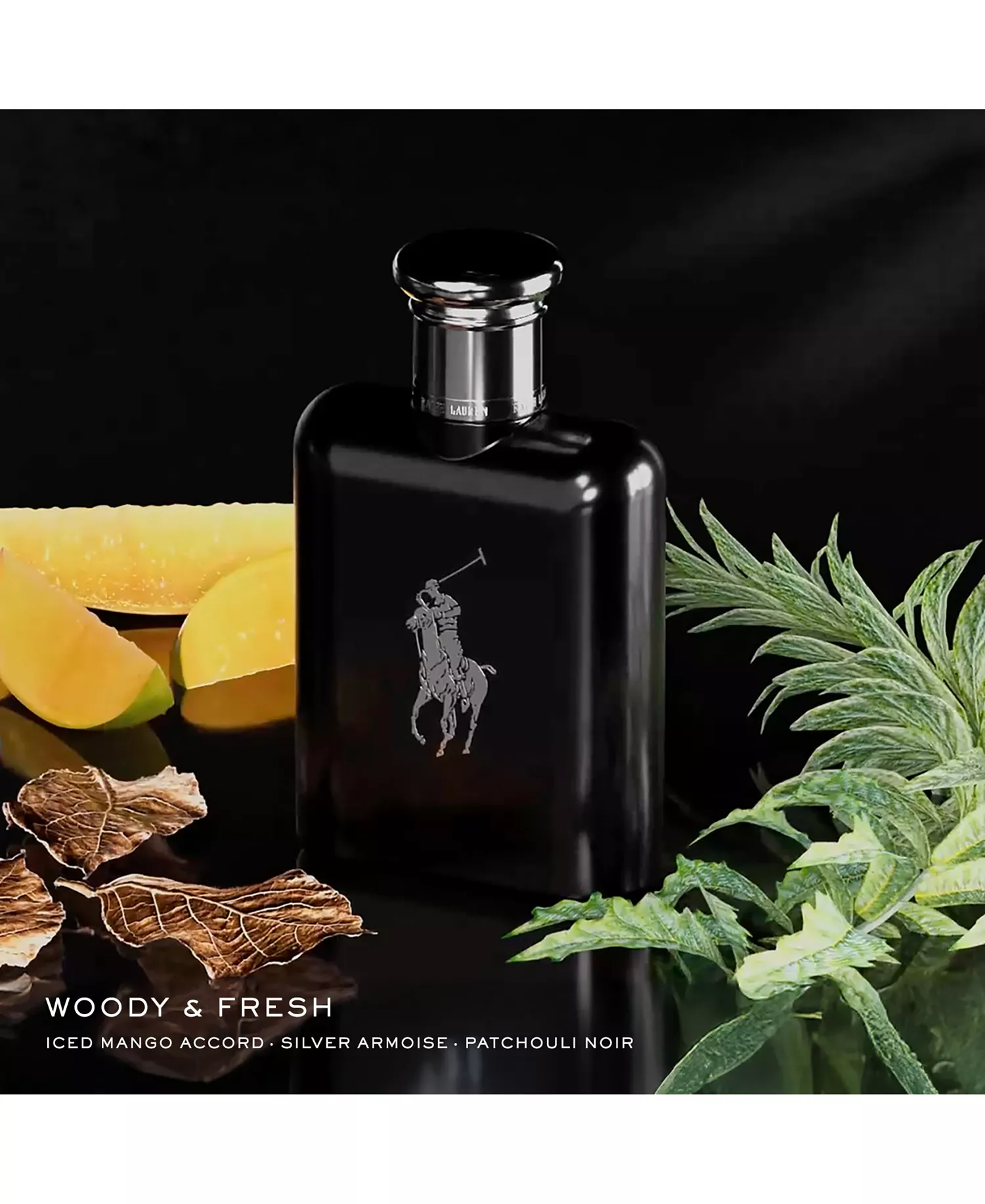 Polo Black 3 pc. Eau de Toilette Cologne and Deodorant Gift Set - No Color - No Size