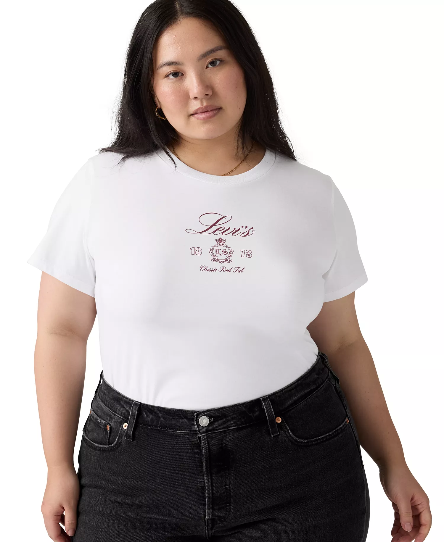 Plus Size Crewneck Graphic T-Shirt - Plus Two Horse Bright White - 1X