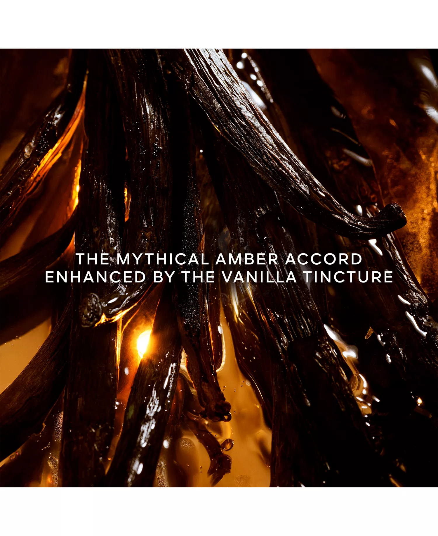 Shalimar L'Essence Eau de Parfum, 3 oz. - No Color - 1.01 oz