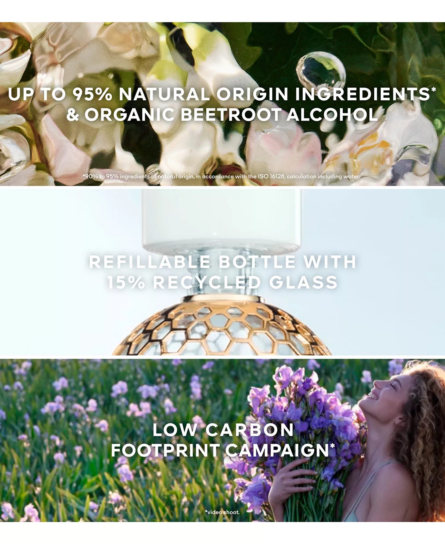 Aqua Allegoria Rosa Rossa Eau de Toilette, 4.2 oz. - No Color - 2.50 oz