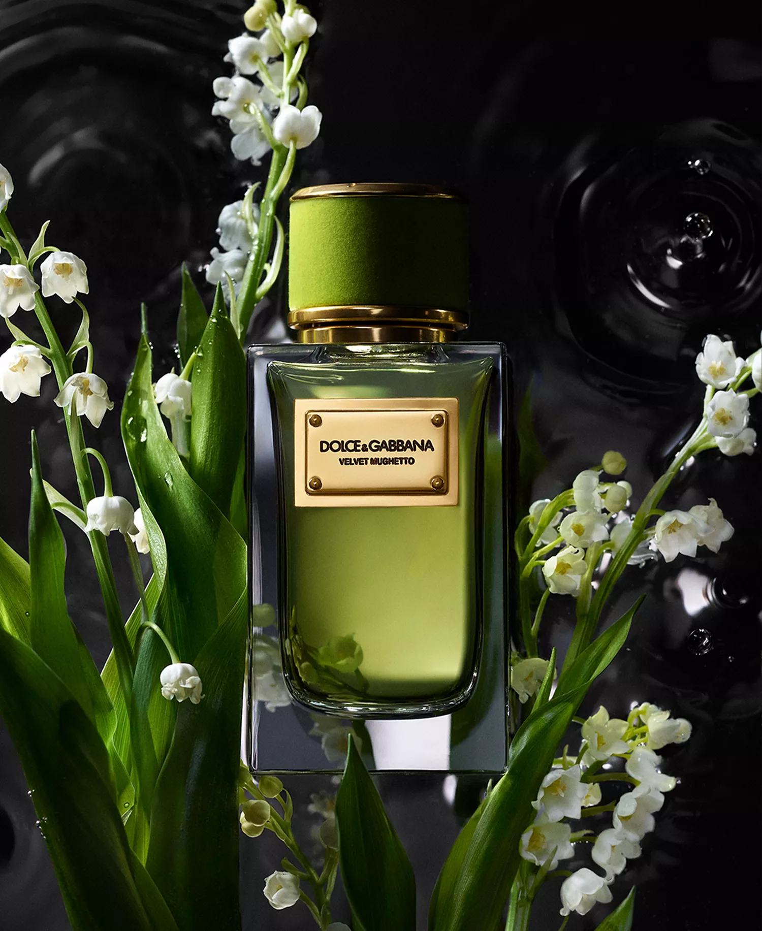 7-Pc. Velvet Collection Eau De Parfum Set - No Color - 0.06 oz