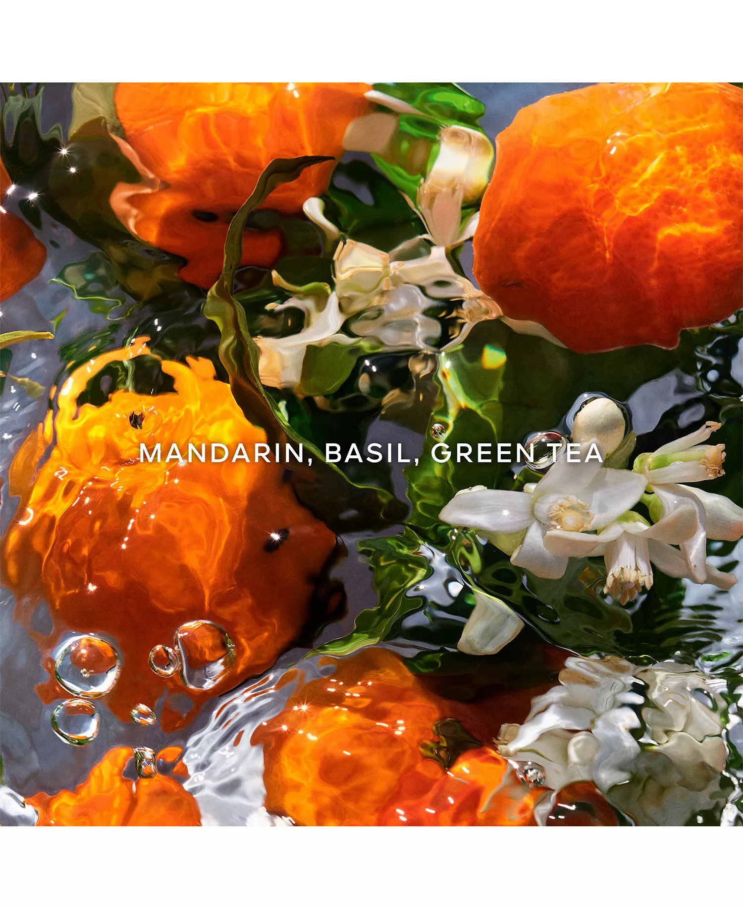 Aqua Allegoria 3-Pc. Mandarine Basilic Eau De Toilette Gift Set - No Color - NO SIZE