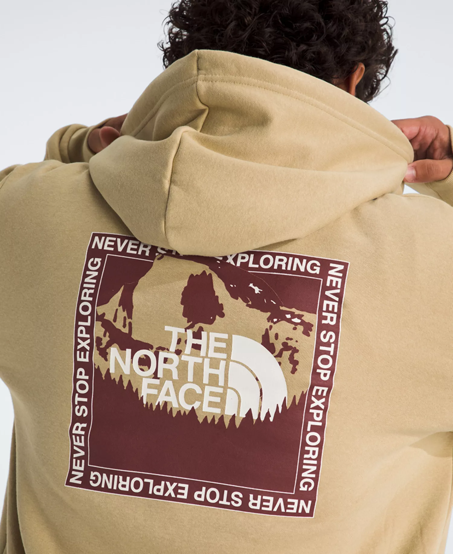 Men's Stay Exploring Regular Fit Hoodie - Khaki Stone - 2XL