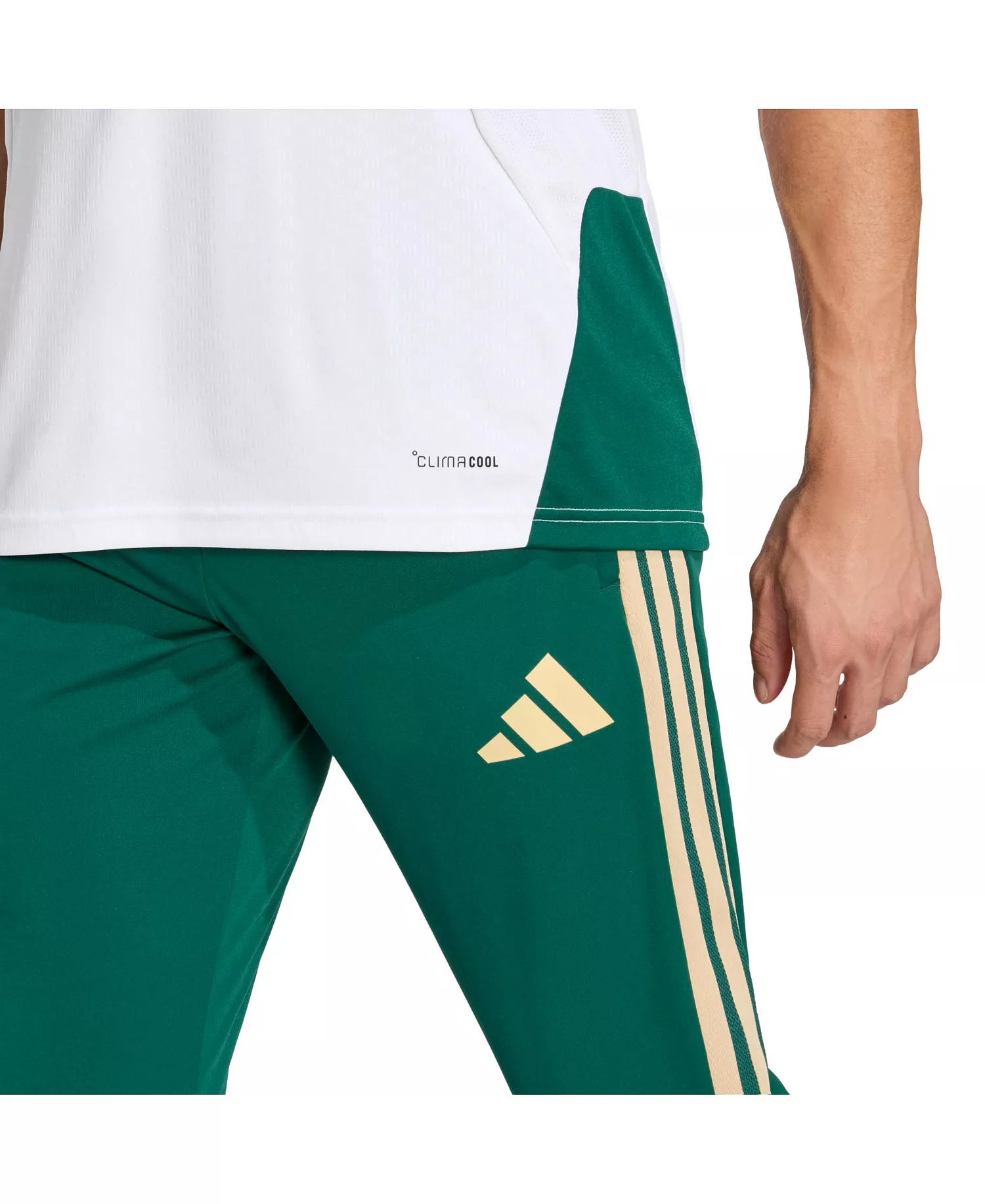 Men's Green Italy National Team FIFA x World Cup 2026 Tiro Training Pants - Green - 2XL