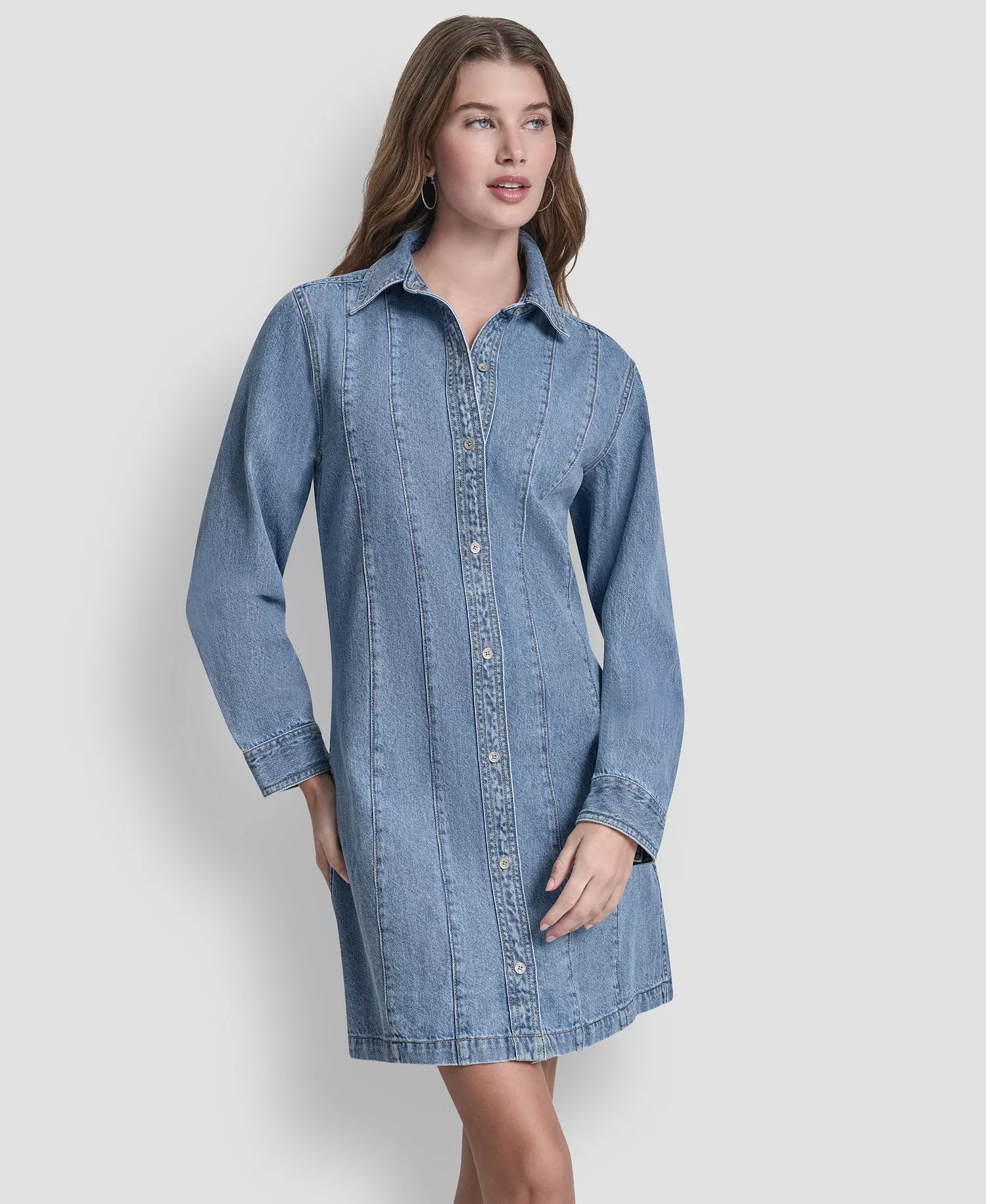 Women's Collared Seamed A-Line Shirt Dress - Harmony - L
