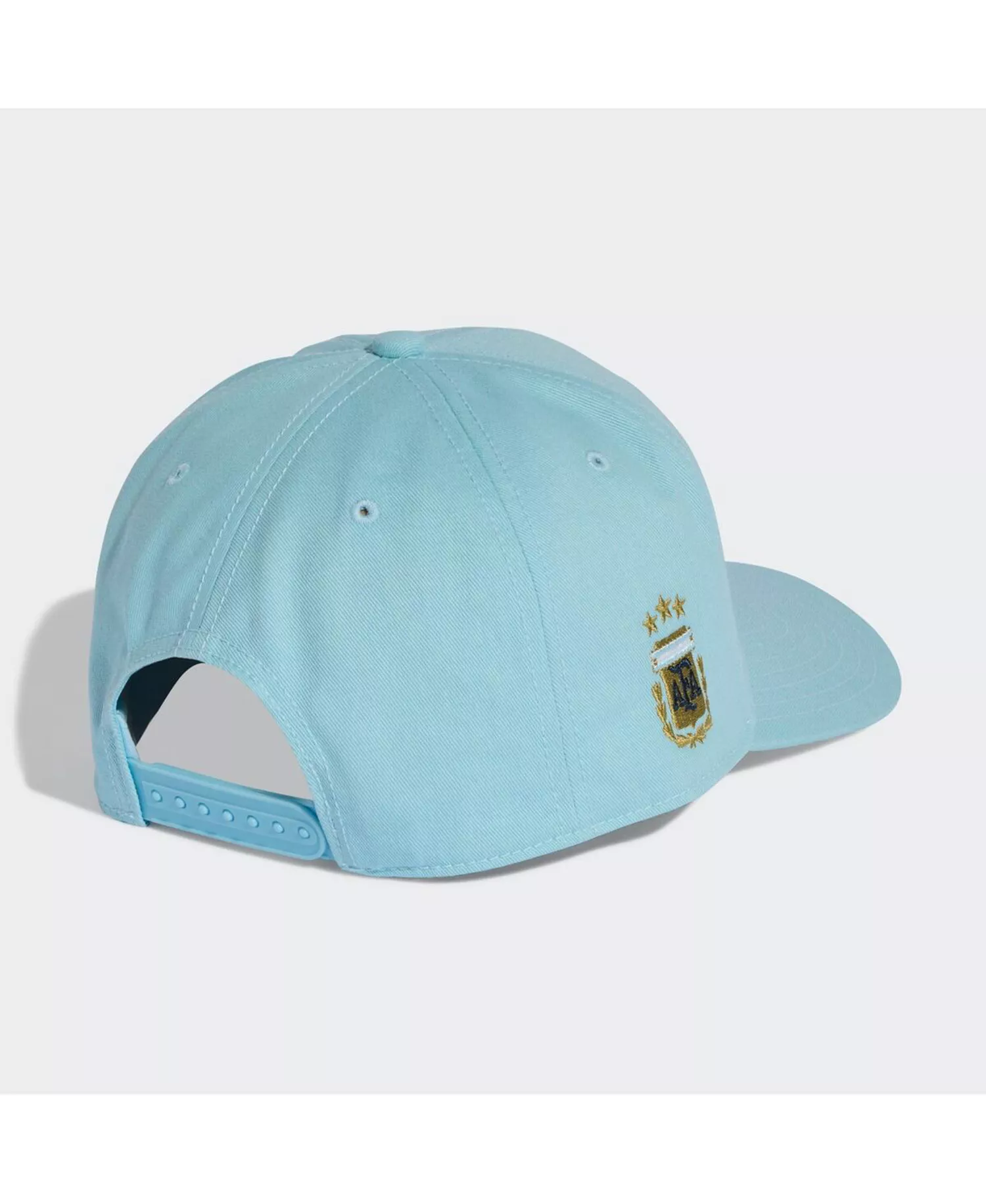 Men's and Women's Light Blue Argentina National Team FIFA x World Cup Team Snapback Hat - Light Blue - ONE SIZE