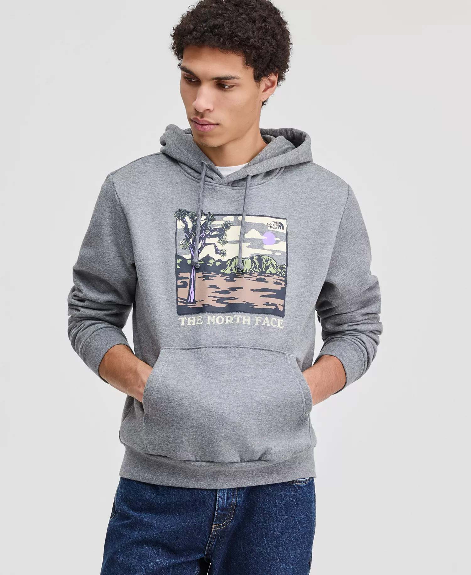 Men's Evolution Desert Graphic Hoodie - Gray - 2XL