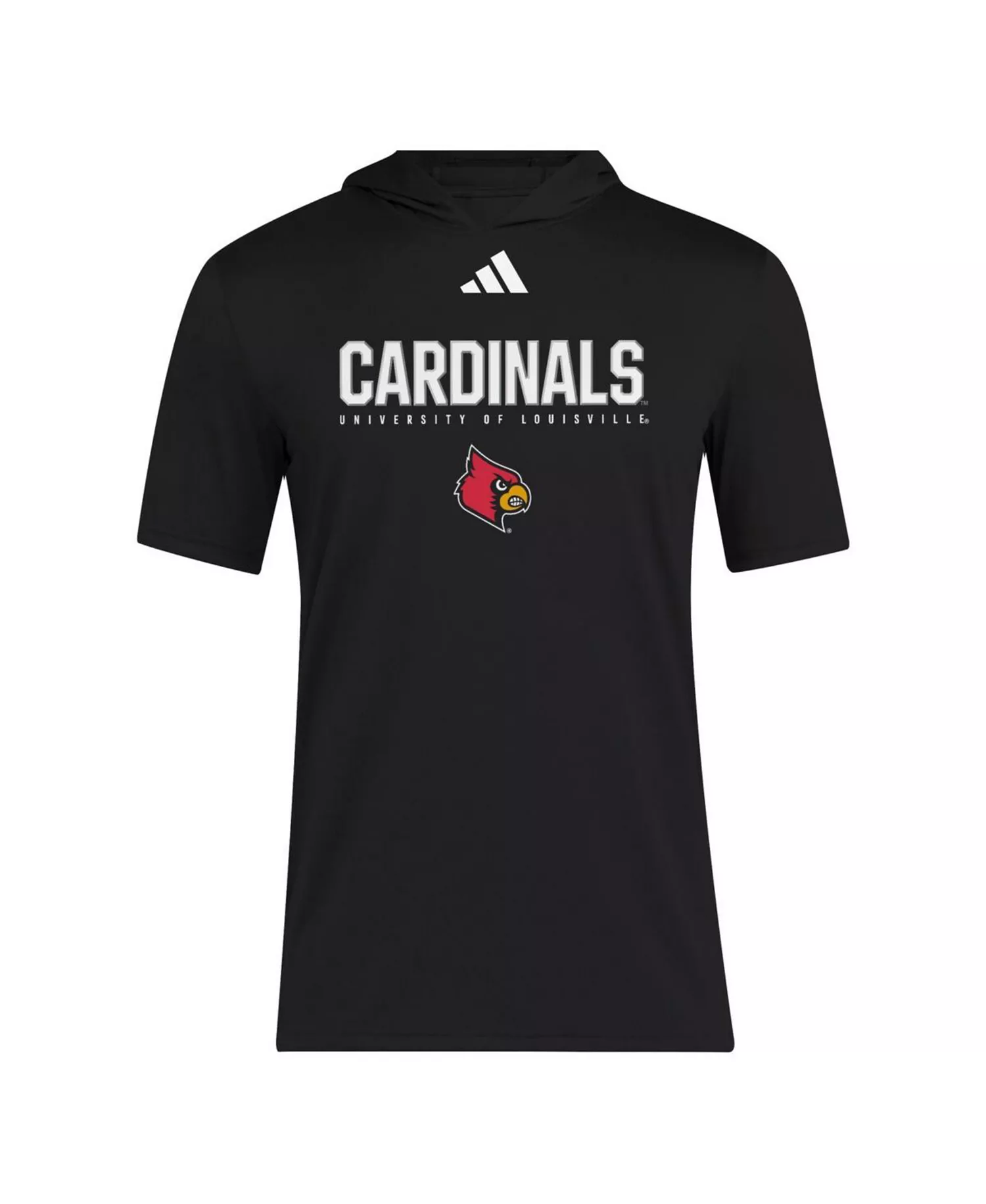 Men's Black Louisville Cardinals 2025 AREOREADY Sideline Training Hooded T-Shirt - Black - L