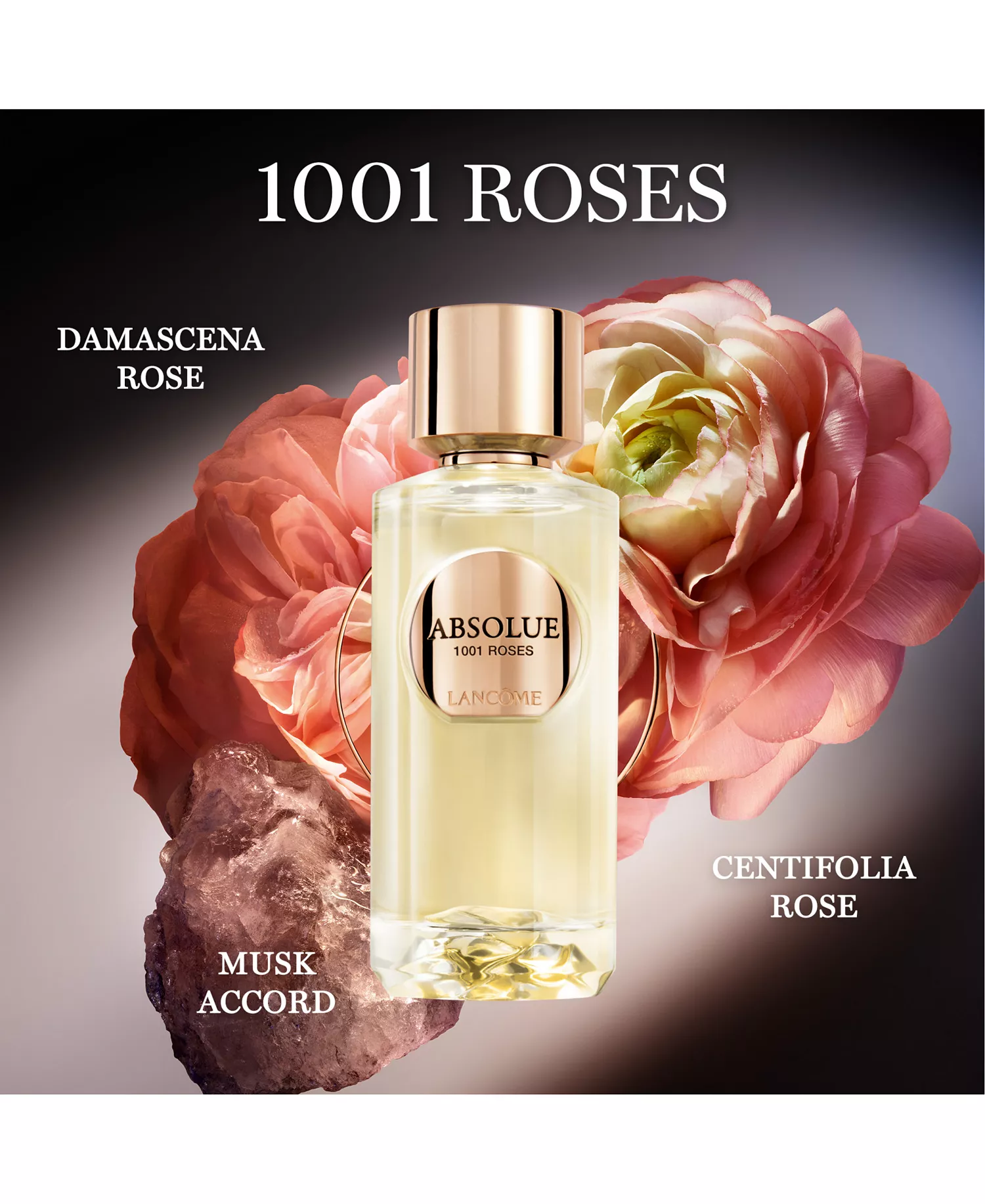 11-Pc. Absolue Les Parfums Limited-Edition Discovery Gift Set - No Color - No Size