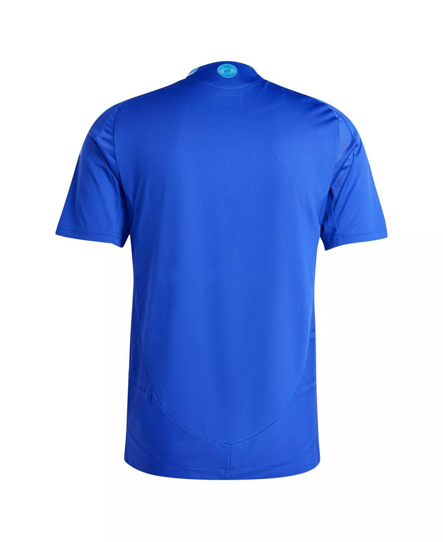Men's Argentina National Team 2024 Authentic Jersey - Away - L