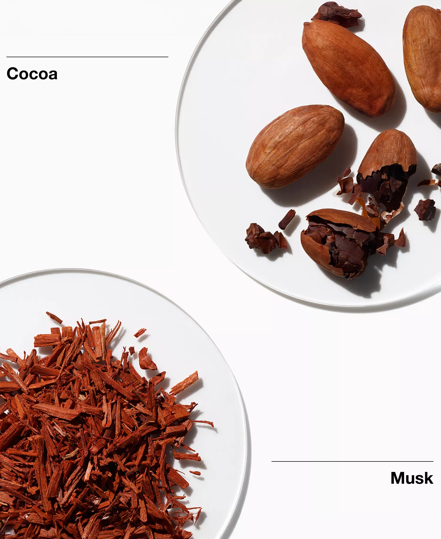 2-Pc. My Happy Favorites Fragrance Duo Gift Set - No Color - No Size