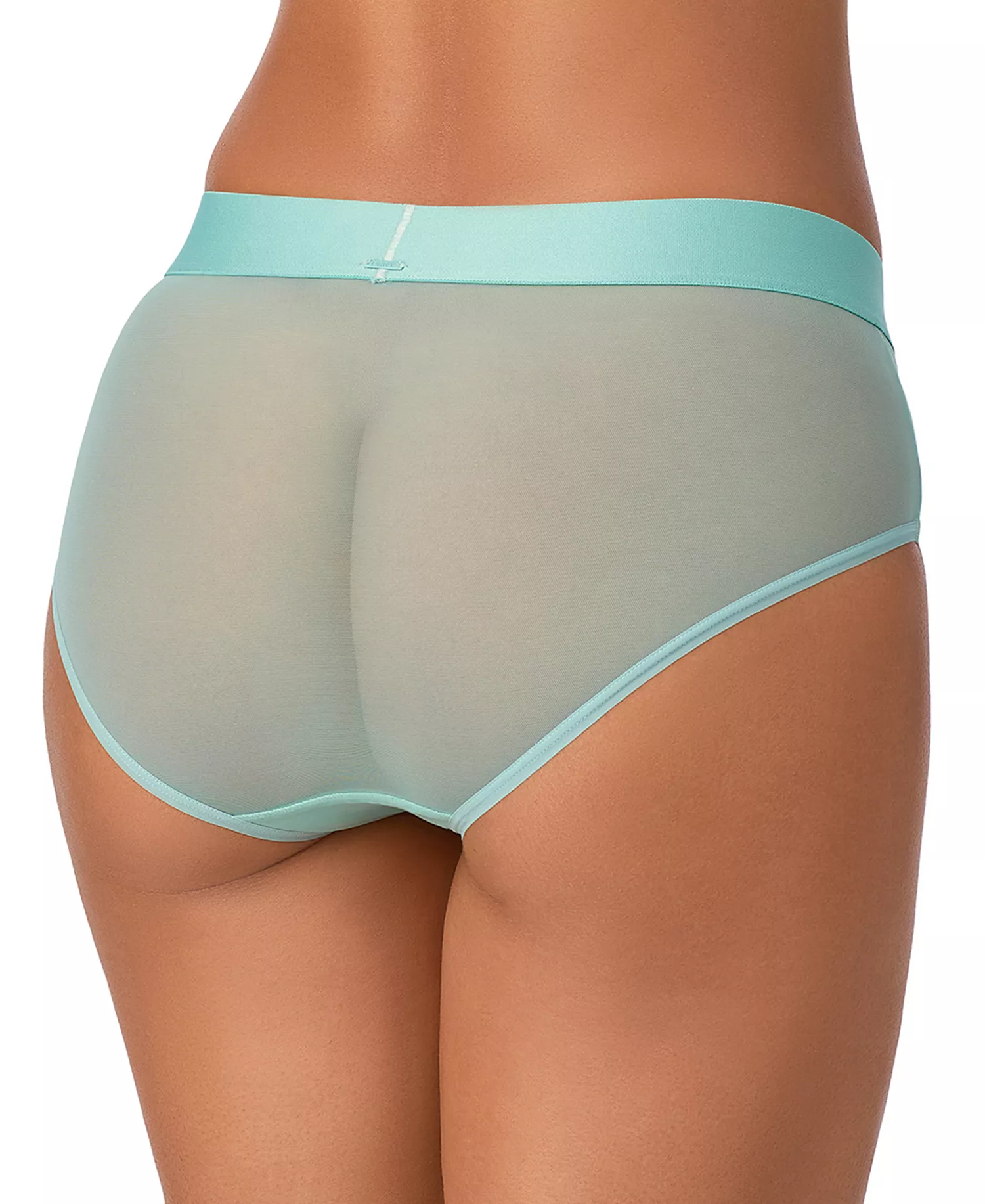 Women's Sheers Brief Underwear, DK8195 - Aquifer - L