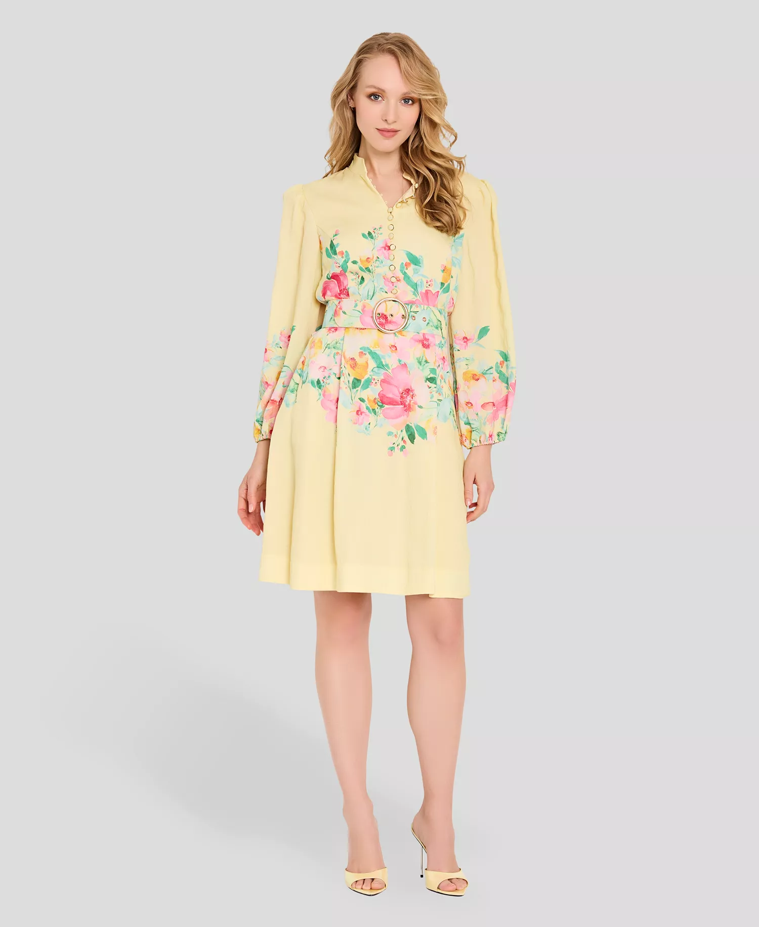 Petite Button-Front Placement Mock neck Print Dress - Buttercup Multi - 0P
