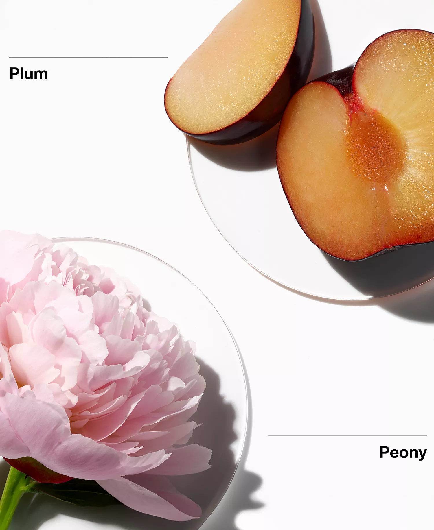 2-Pc. My Happy Favorites Fragrance Duo Gift Set - No Color - No Size