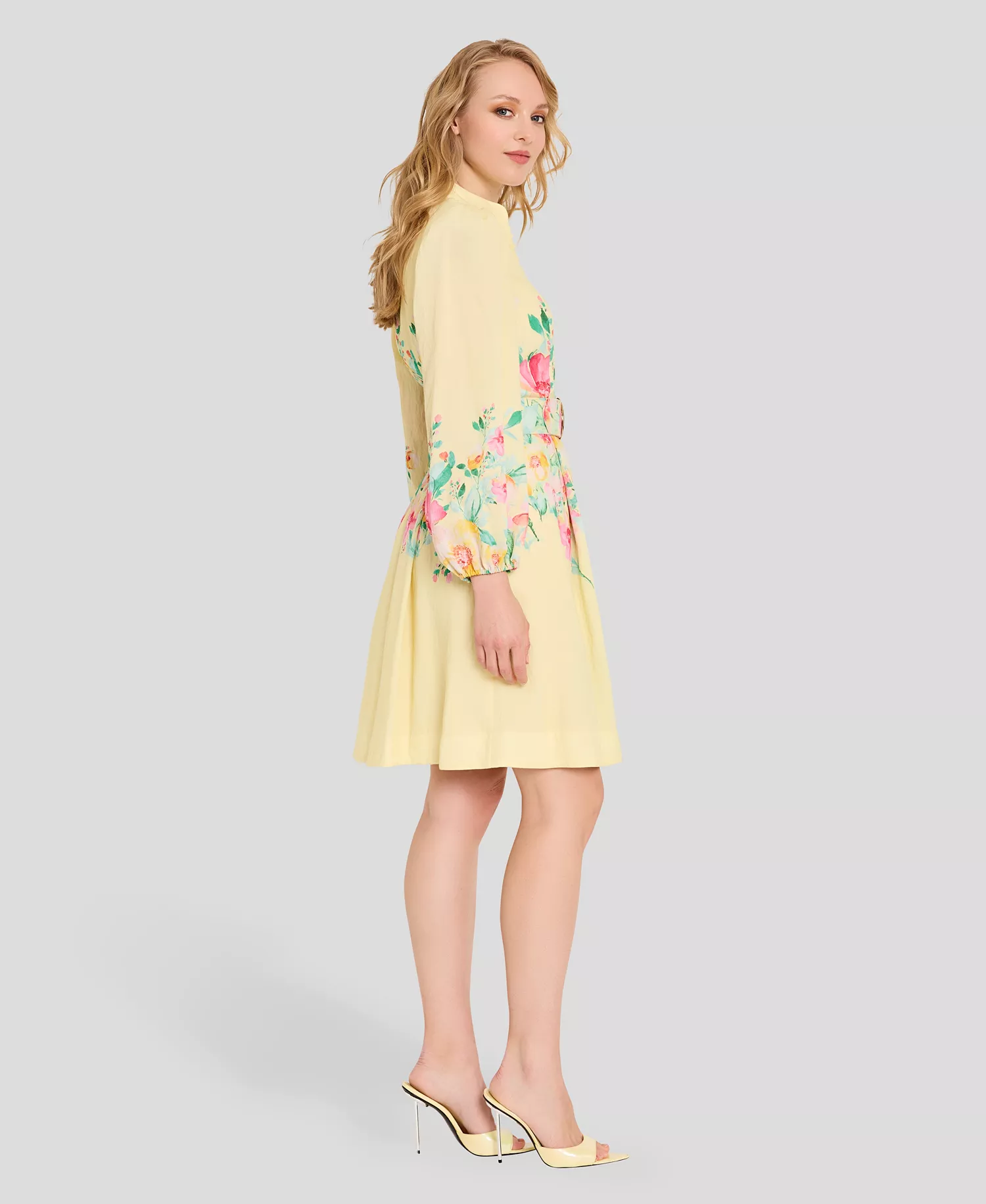 Petite Button-Front Placement Mock neck Print Dress - Buttercup Multi - 0P