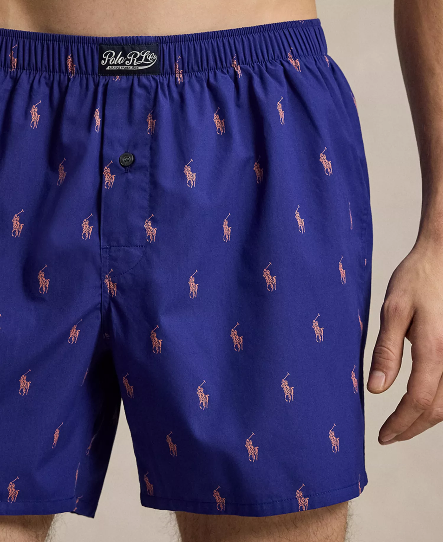 Men's Classic Woven Boxer Briefs - Boston Royal/ Spring Melon - L