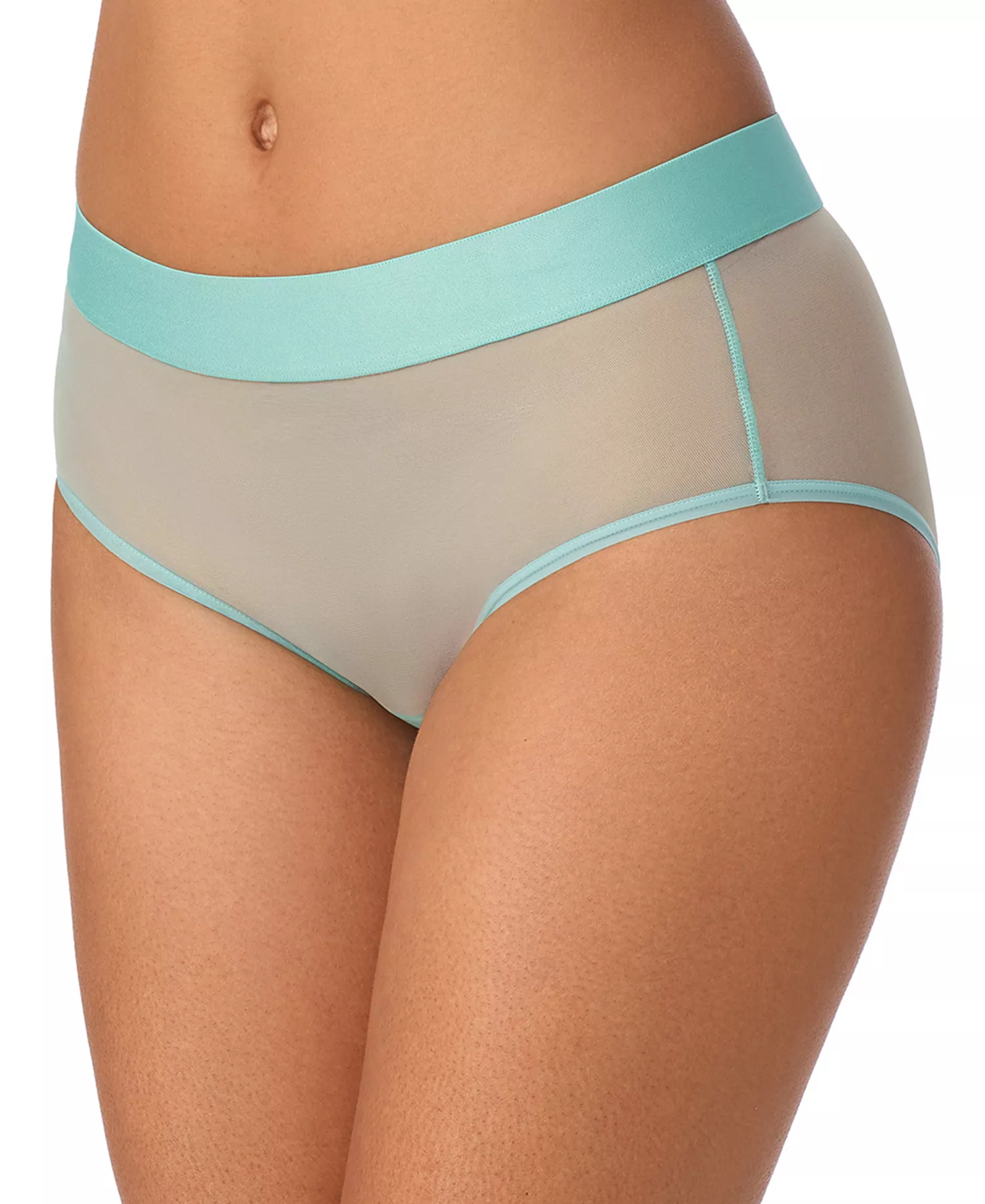 Women's Sheers Brief Underwear, DK8195 - Aquifer - L