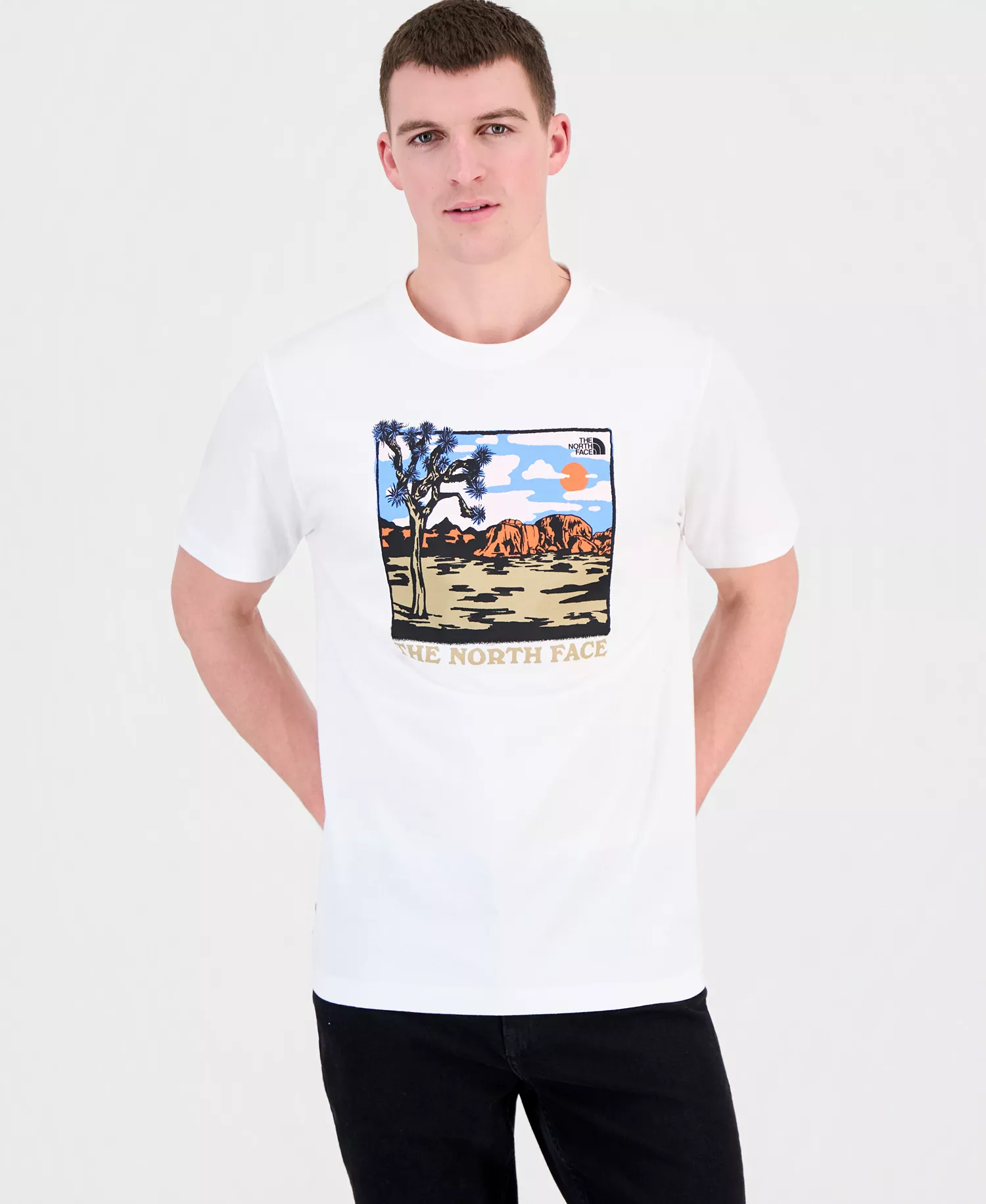 Mens Evolution Desert Graphic Short Sleeve T-Shirt - TNF White - 2XL