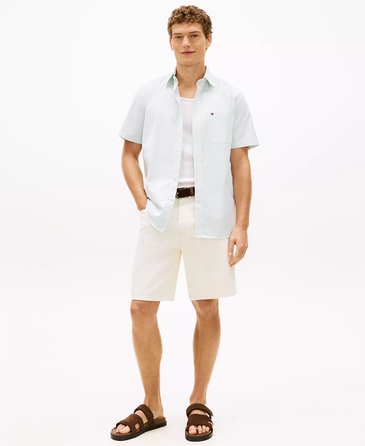 Men's Striped Short-Sleeve Oxford Shirt - Crushed Mint / Stripe - L