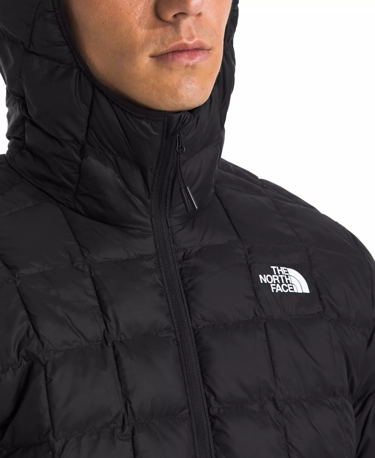 Men's ThermoBall Eco Puffer Hoodie 2.0 - Tnf Black-npf - 2XL