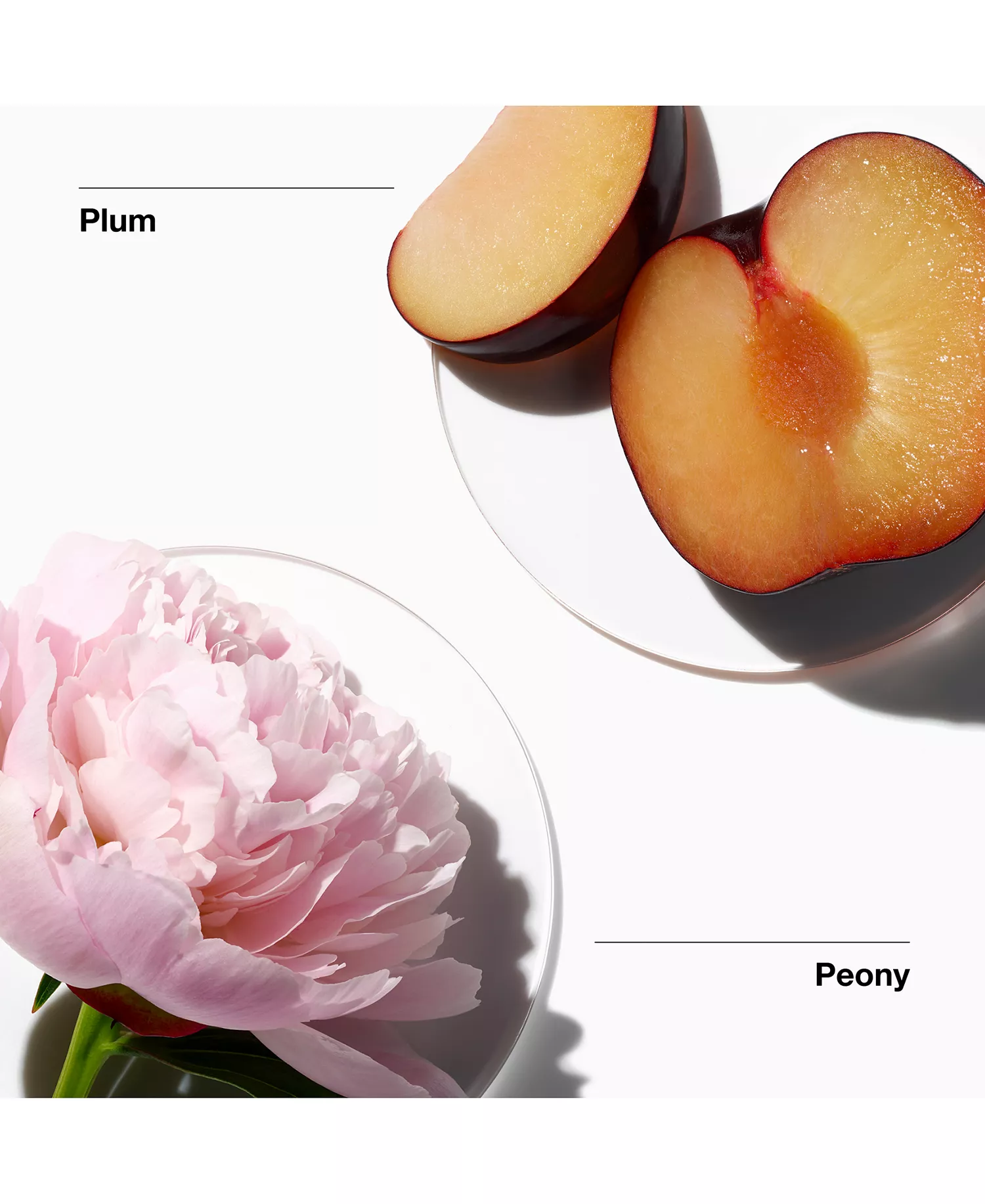 My Happy Duo Mini Perfume Gift Set