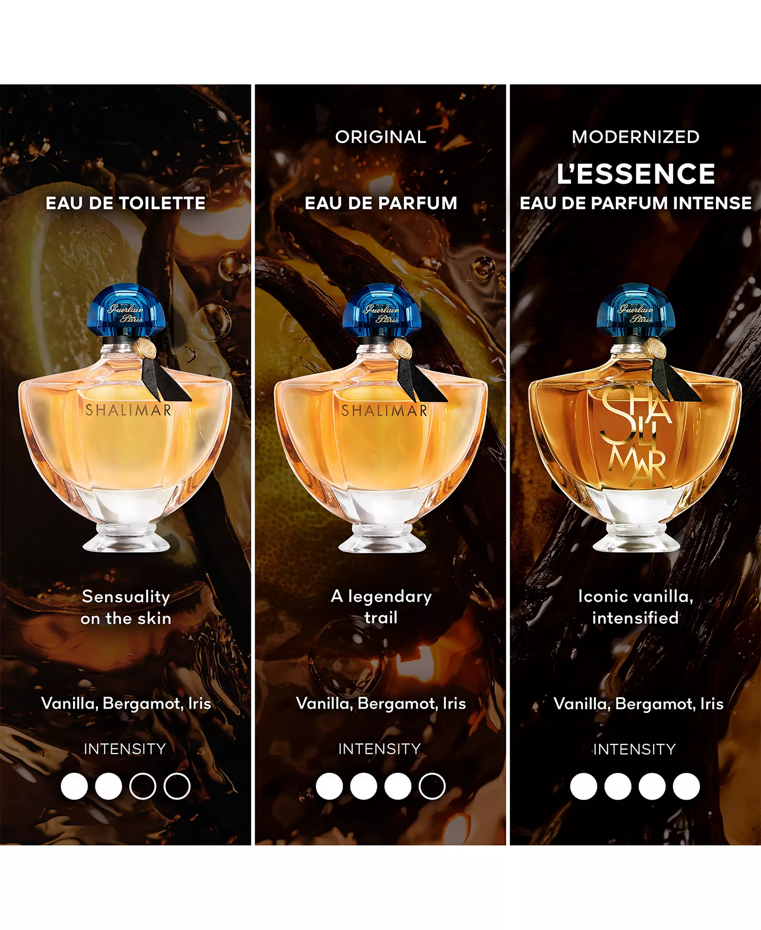 Shalimar L'Essence Eau de Parfum, 3 oz. - No Color - 1.01 oz