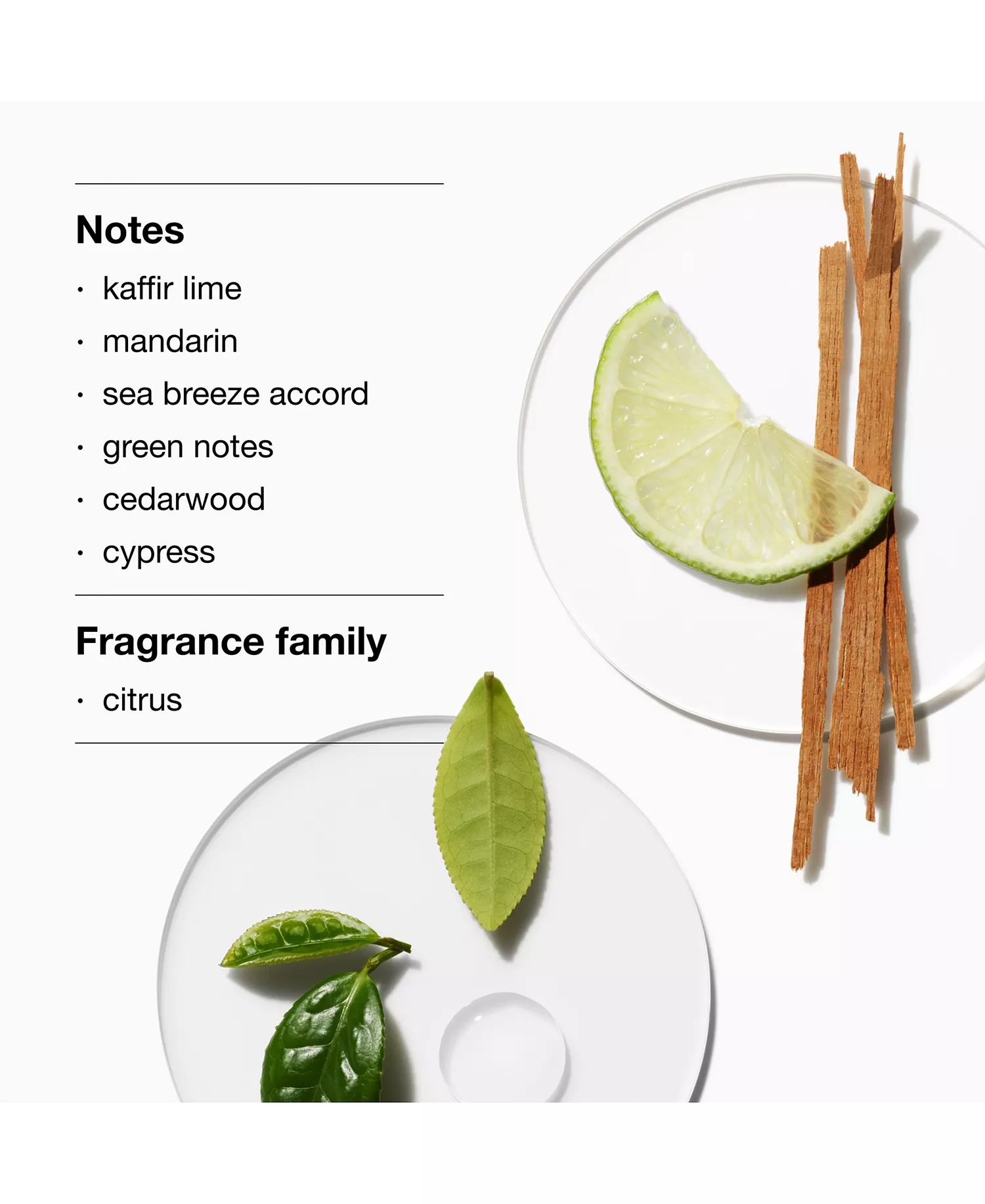 Happy For Him Cologne and Body Wash Gift Set - No Color - No Size