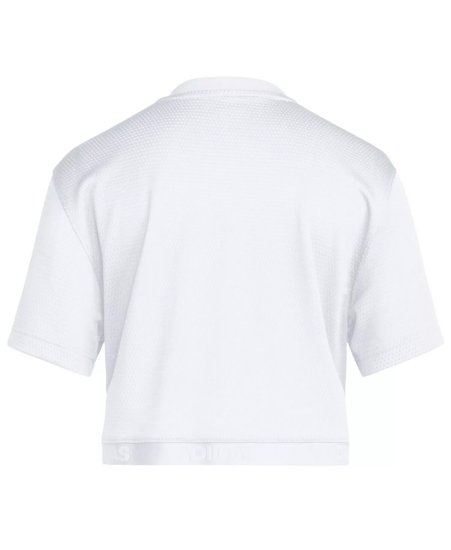 Women's White Kansas Jayhawks White Out Cropped T-Shirt - White - L