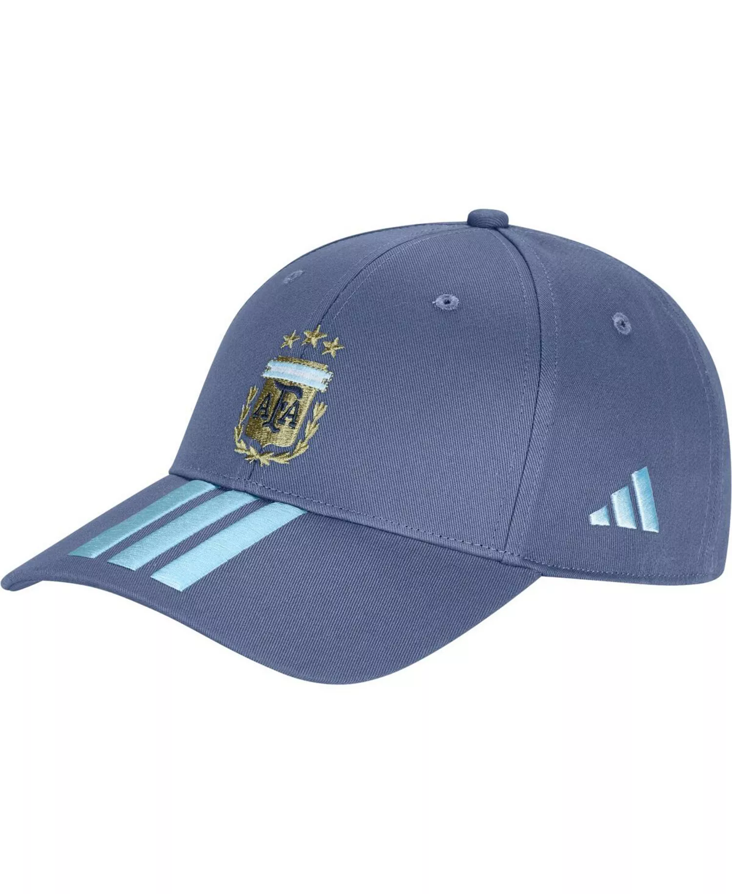 Men's and Women's Blue Argentina National Team FIFA x World Cup Team Baseball Adjustable Hat - Blue - OSFM