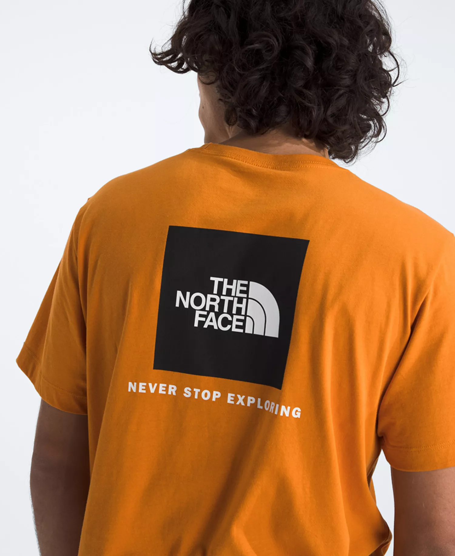 Men's Evolution Box NSE Short-Sleeve T-Shirt - Dust Orange - 2XL