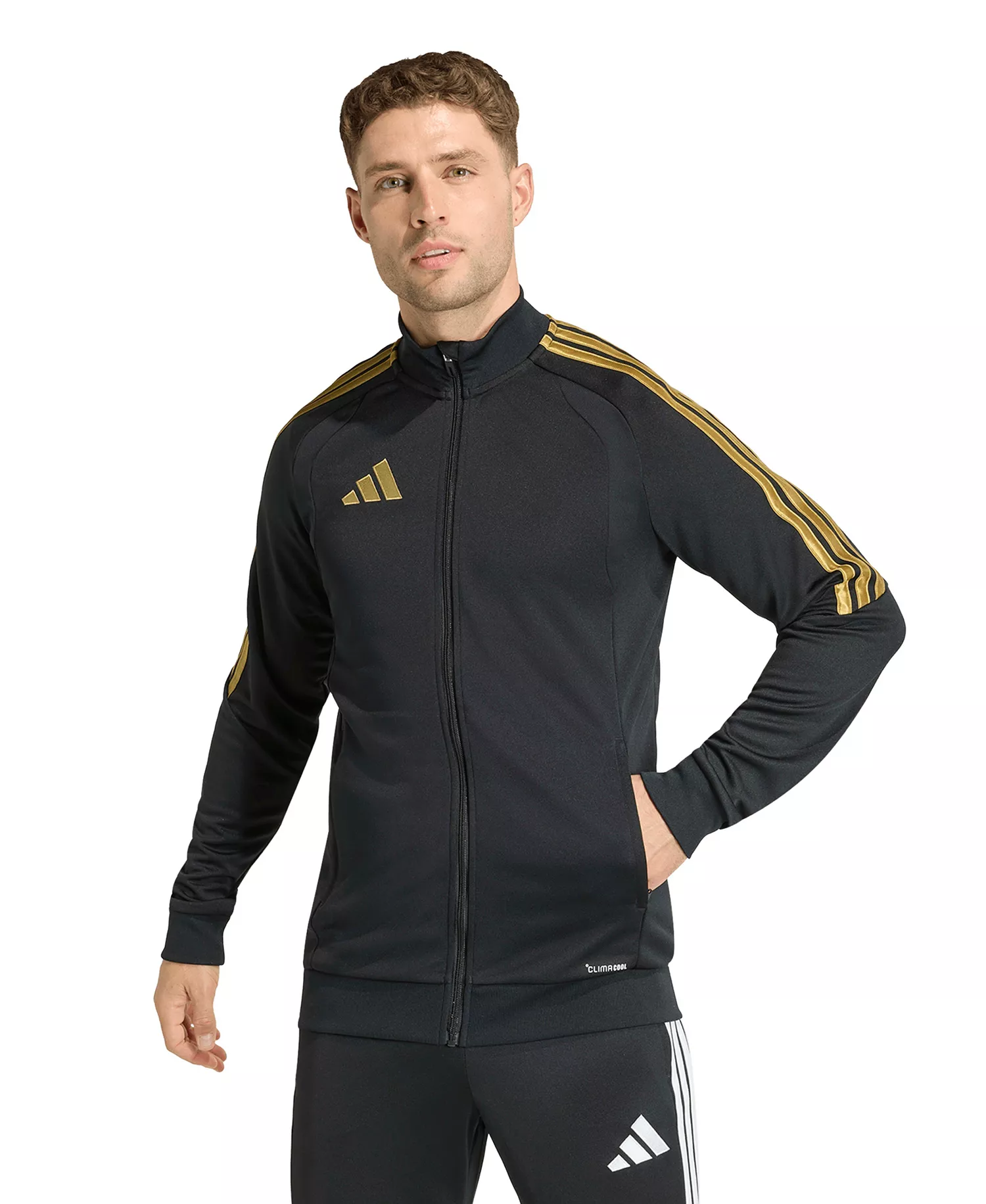 Men's Metallic Tiro 26 League Stand-Up Collar Training Jacket - Black / Gold - 2XL